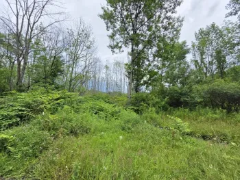 Property at L28.03 Halbert Hill Rd, Butternuts, NY 13809