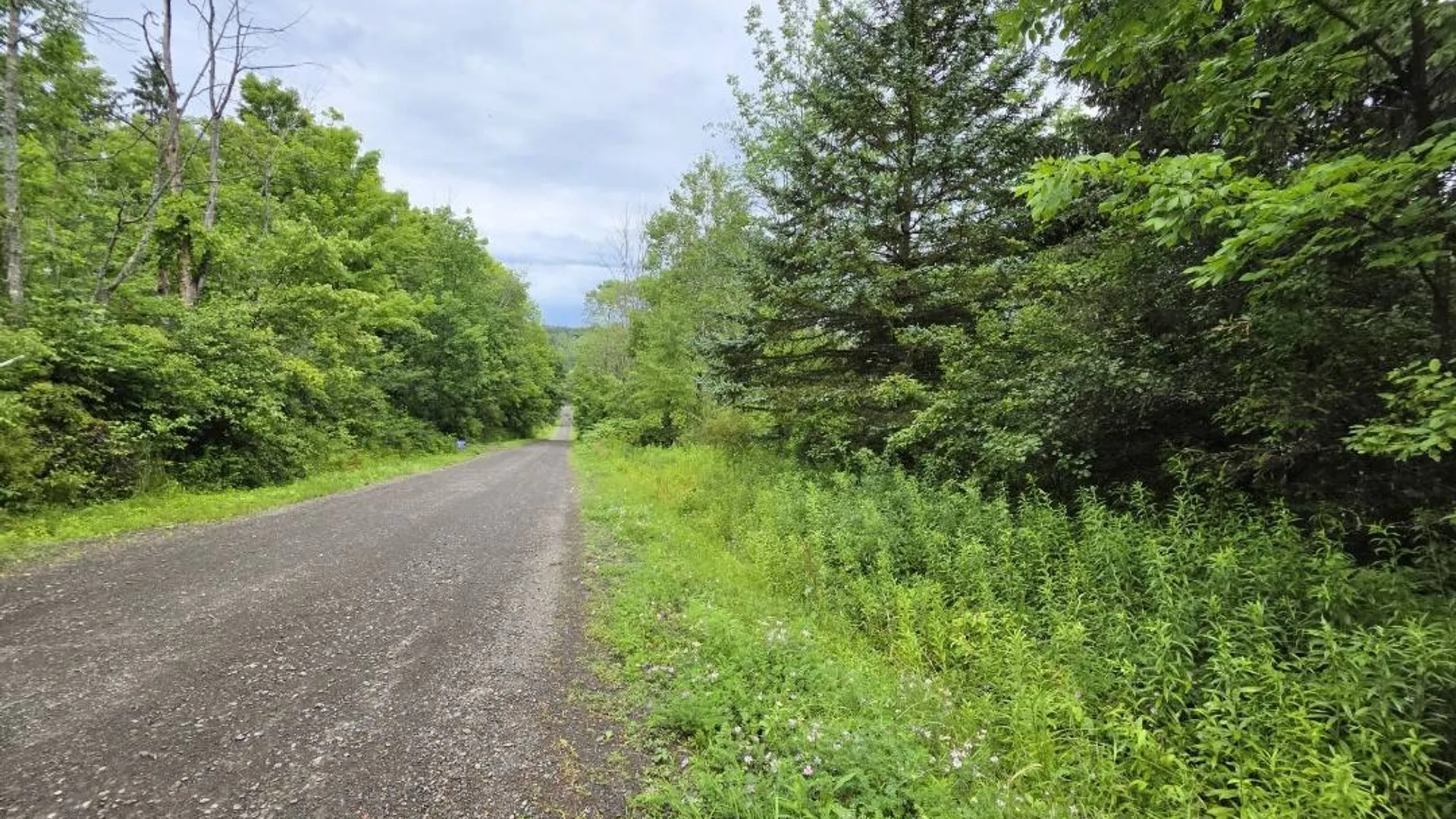 Property at L28.03 Halbert Hill Rd, Butternuts, NY 13809 4