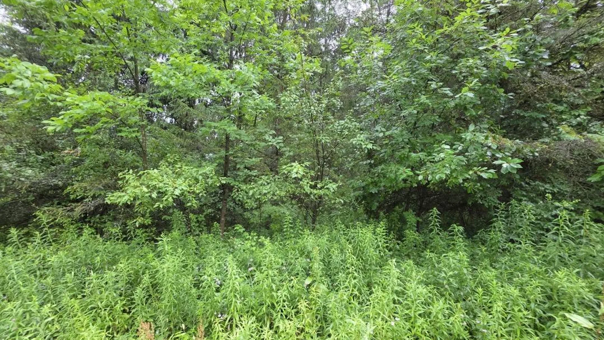 Property at L28.03 Halbert Hill Rd, Butternuts, NY 13809 3