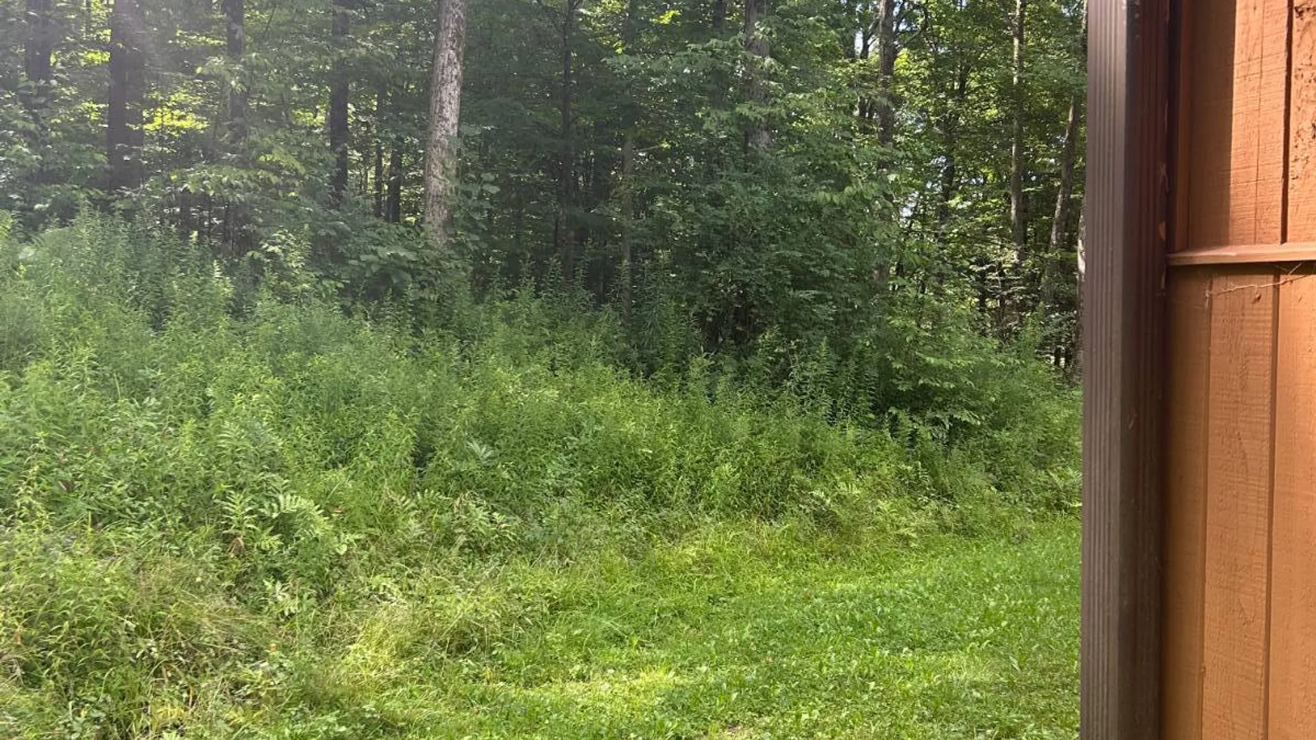 Property at 2162 Fish Brook Rd, Walton, NY 13856 10