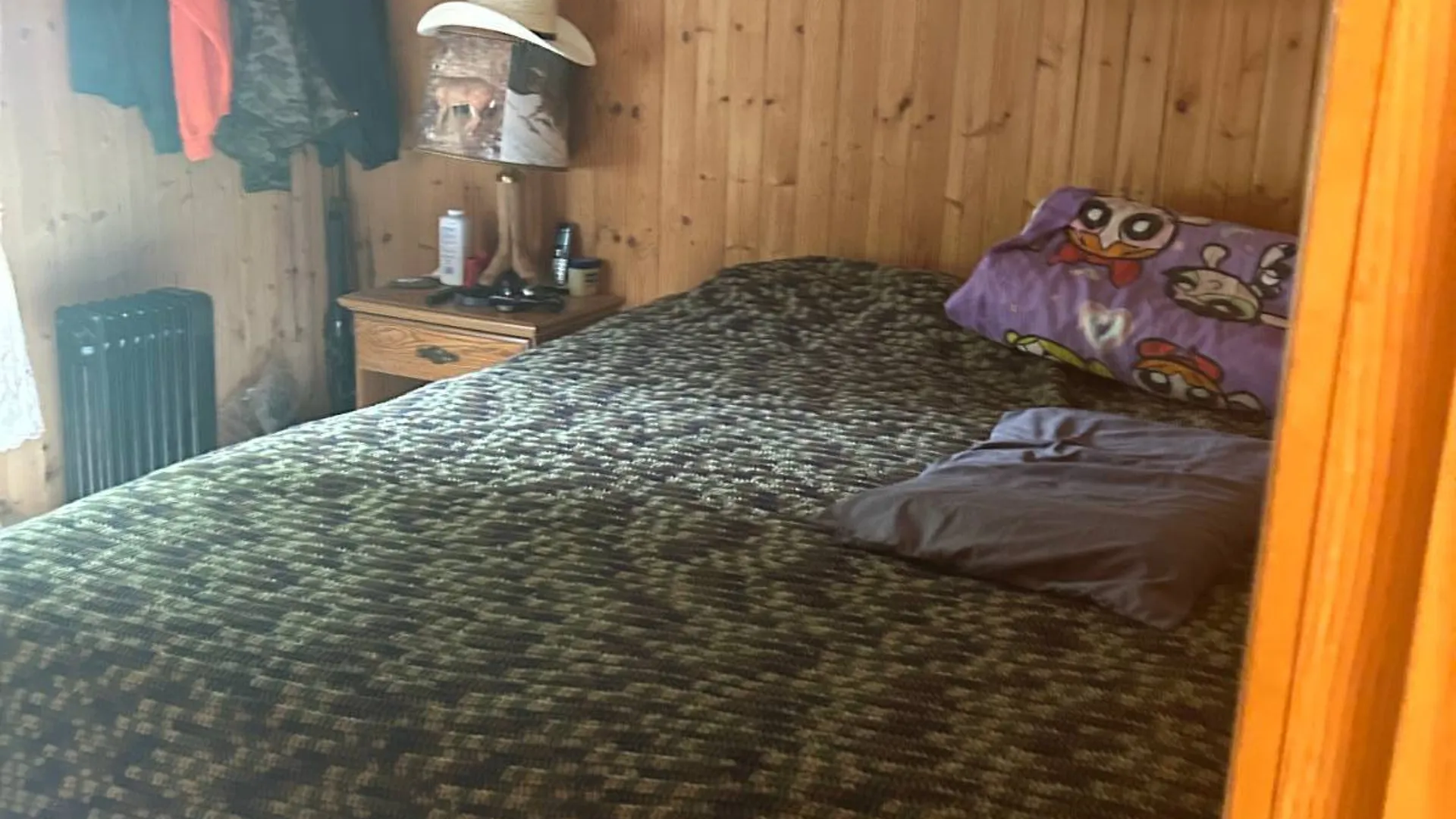 Property at 2162 Fish Brook Rd, Walton, NY 13856 21