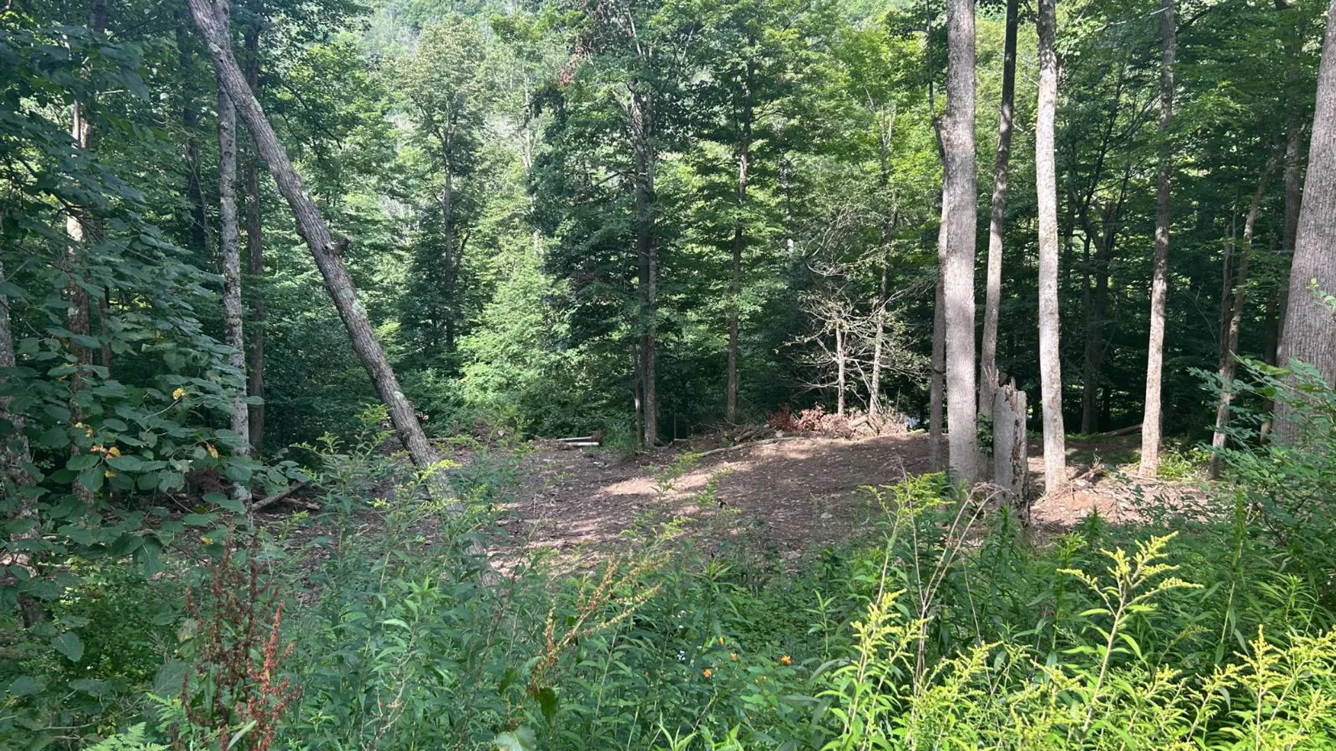 Property at 2162 Fish Brook Rd, Walton, NY 13856 33