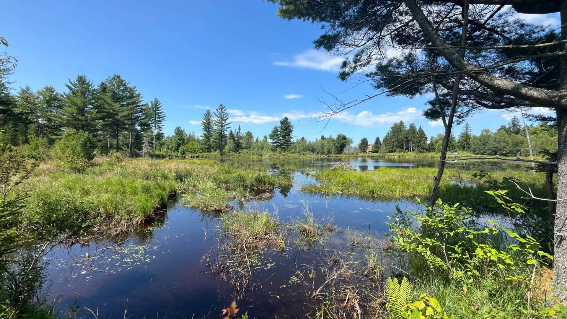 Property at 90 Santamont Roa Santamon Road, Hopkinton, NY 12980 4