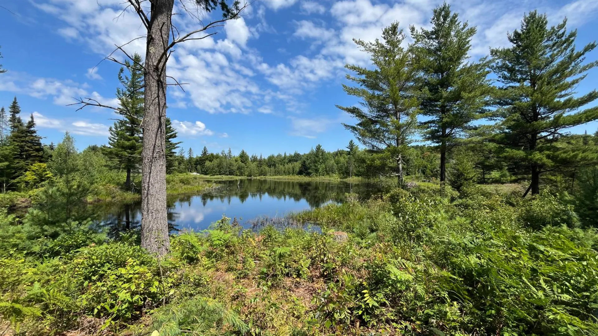 Property at 90 Santamont Roa Santamon Road, Hopkinton, NY 12980 5
