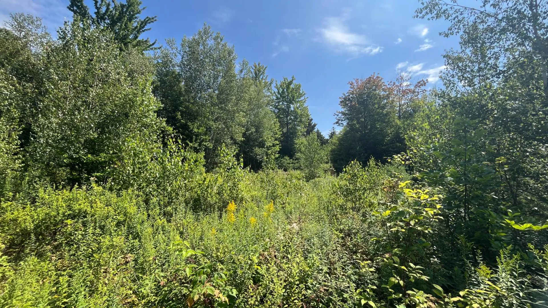 Property at 90 Santamont Roa Santamon Road, Hopkinton, NY 12980 24