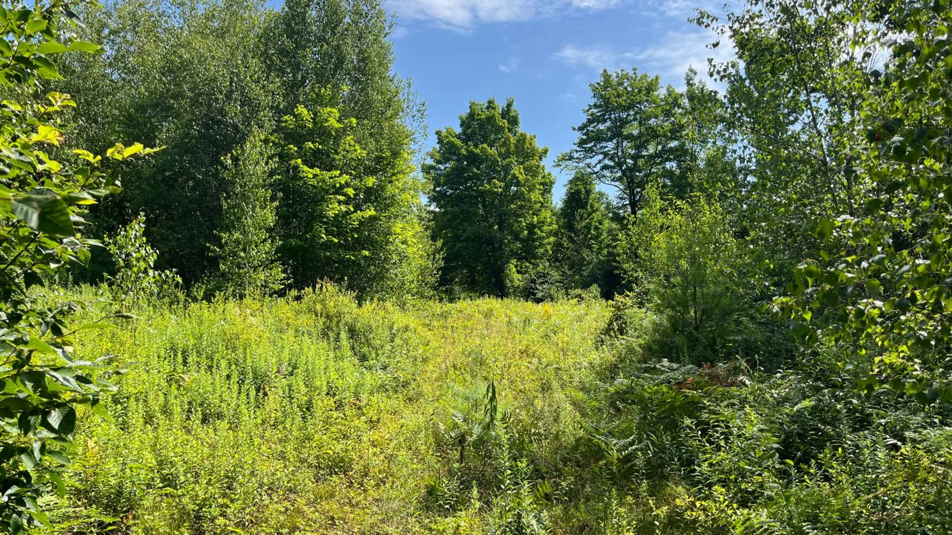 Property at 90 Santamont Roa Santamon Road, Hopkinton, NY 12980 36