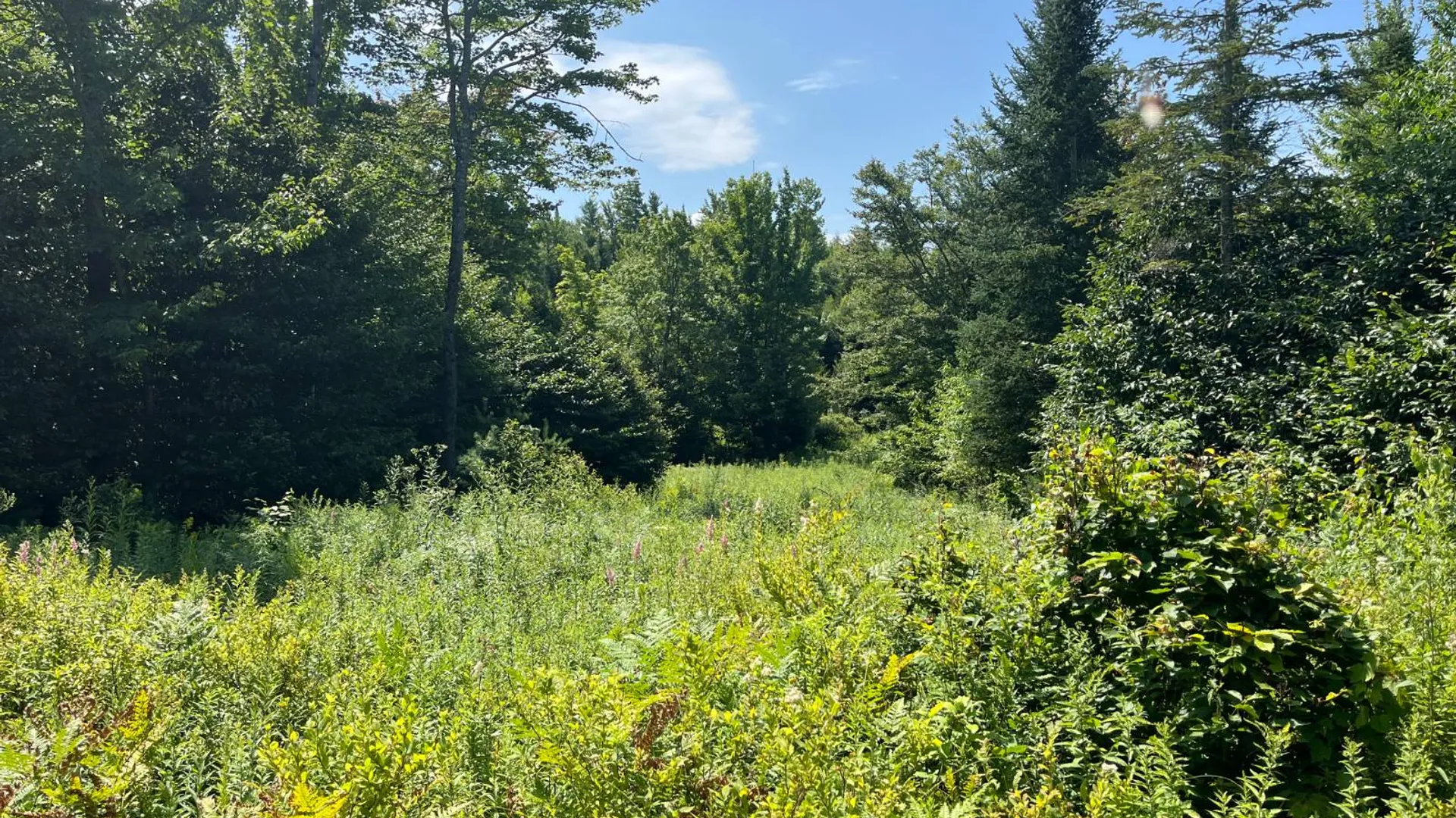 Property at 90 Santamont Roa Santamon Road, Hopkinton, NY 12980 37