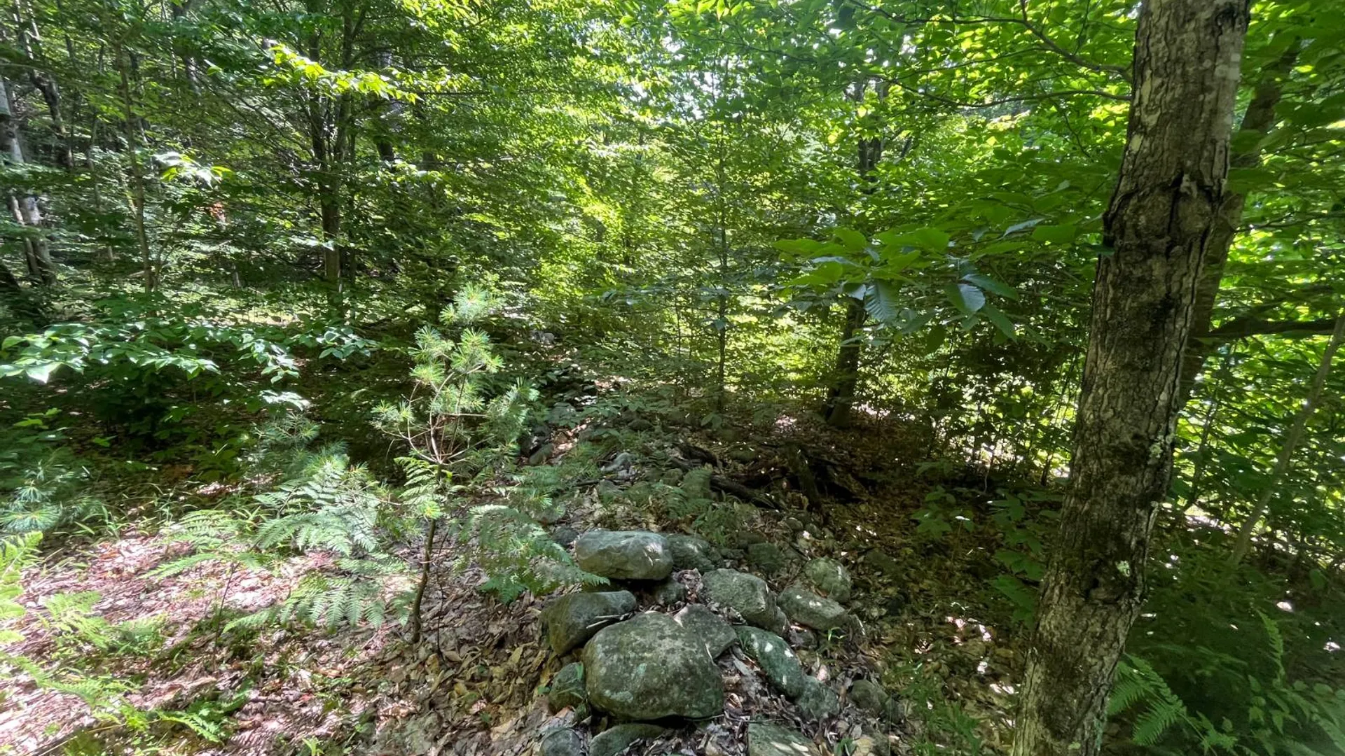 Property at 90 Santamont Roa Santamon Road, Hopkinton, NY 12980 39
