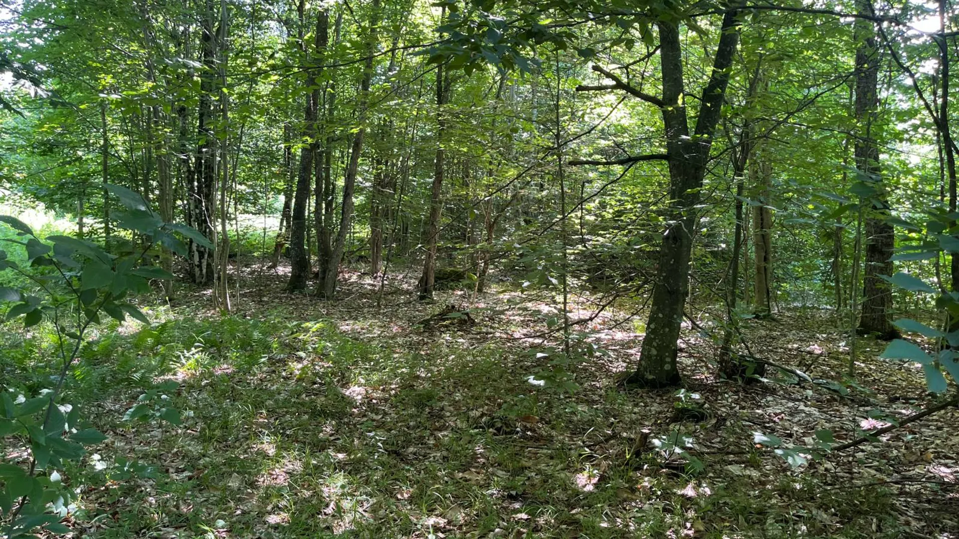 Property at 90 Santamont Roa Santamon Road, Hopkinton, NY 12980 40
