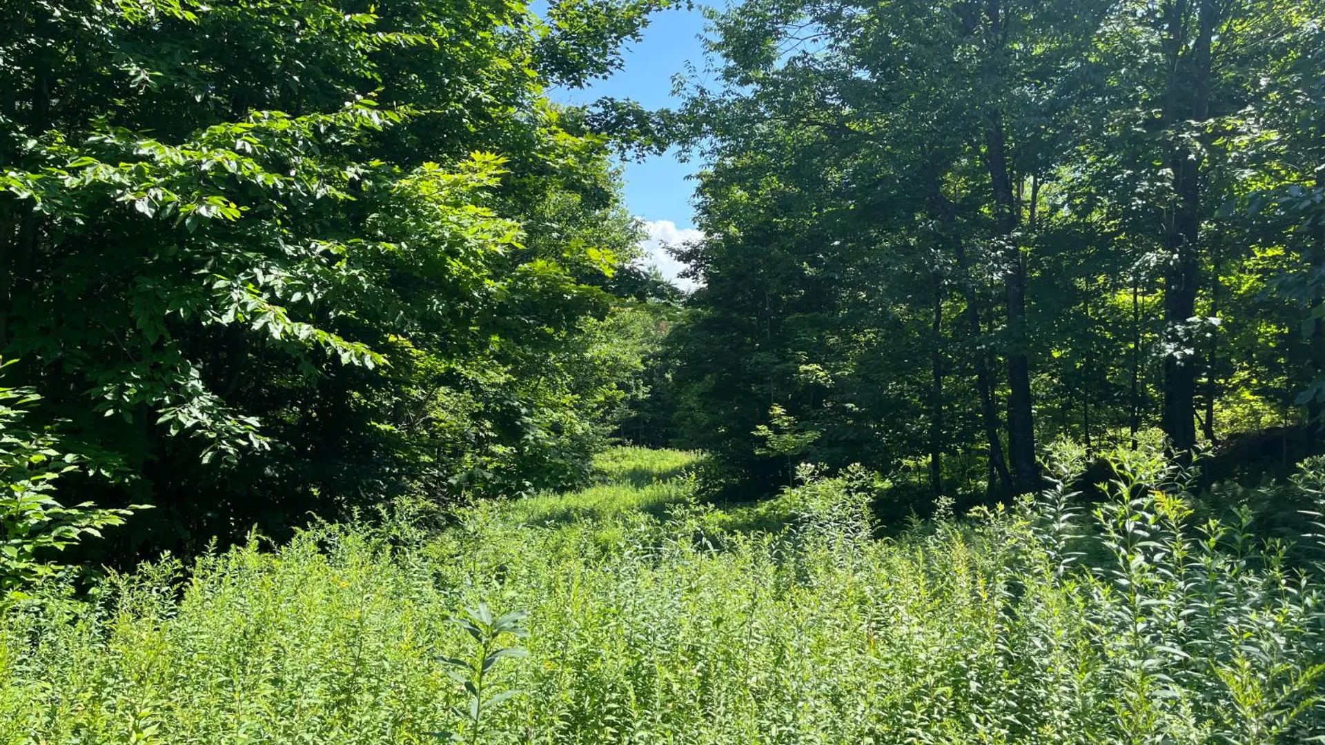 Property at 90 Santamont Roa Santamon Road, Hopkinton, NY 12980 42