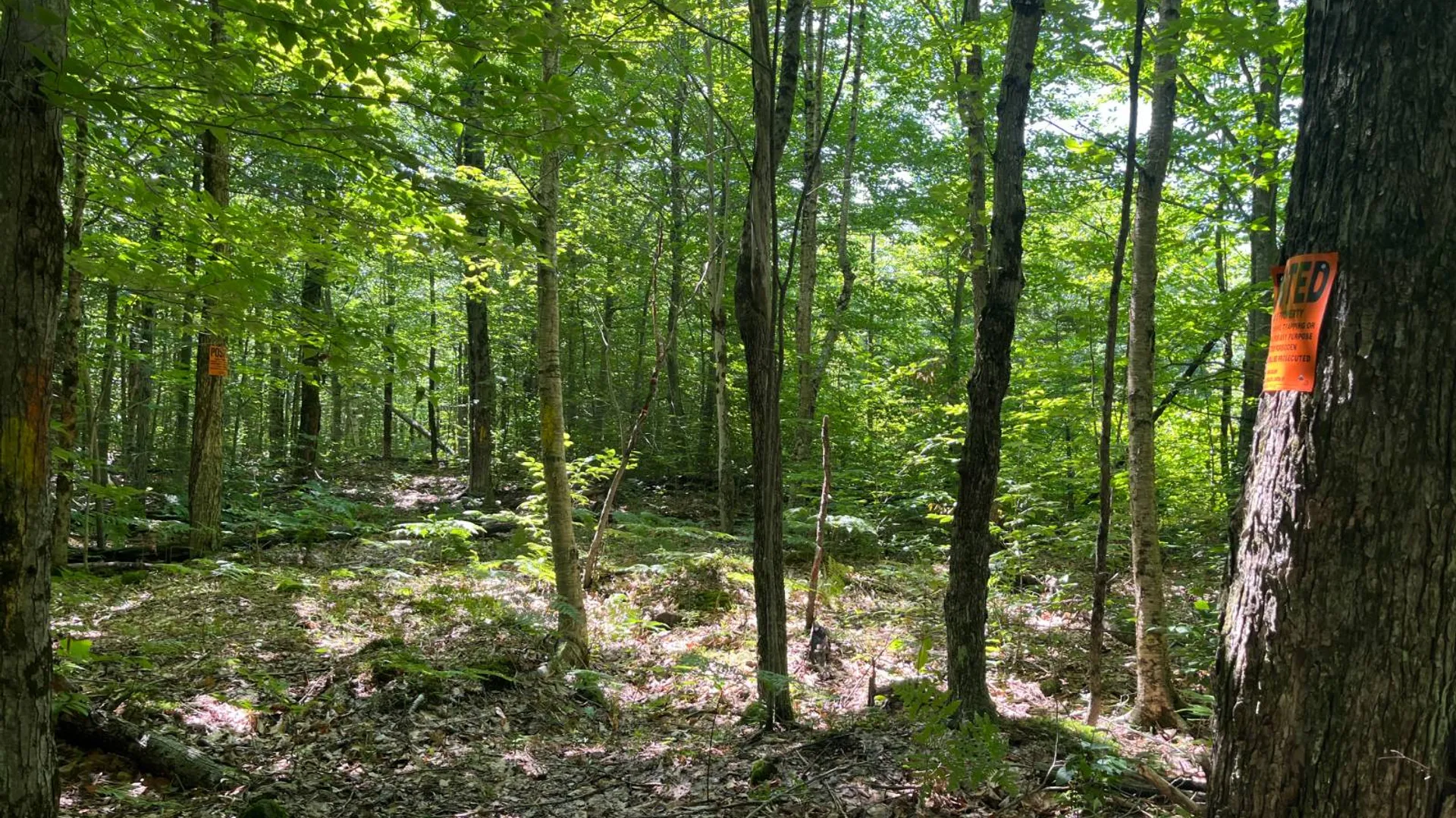 Property at 90 Santamont Roa Santamon Road, Hopkinton, NY 12980 44