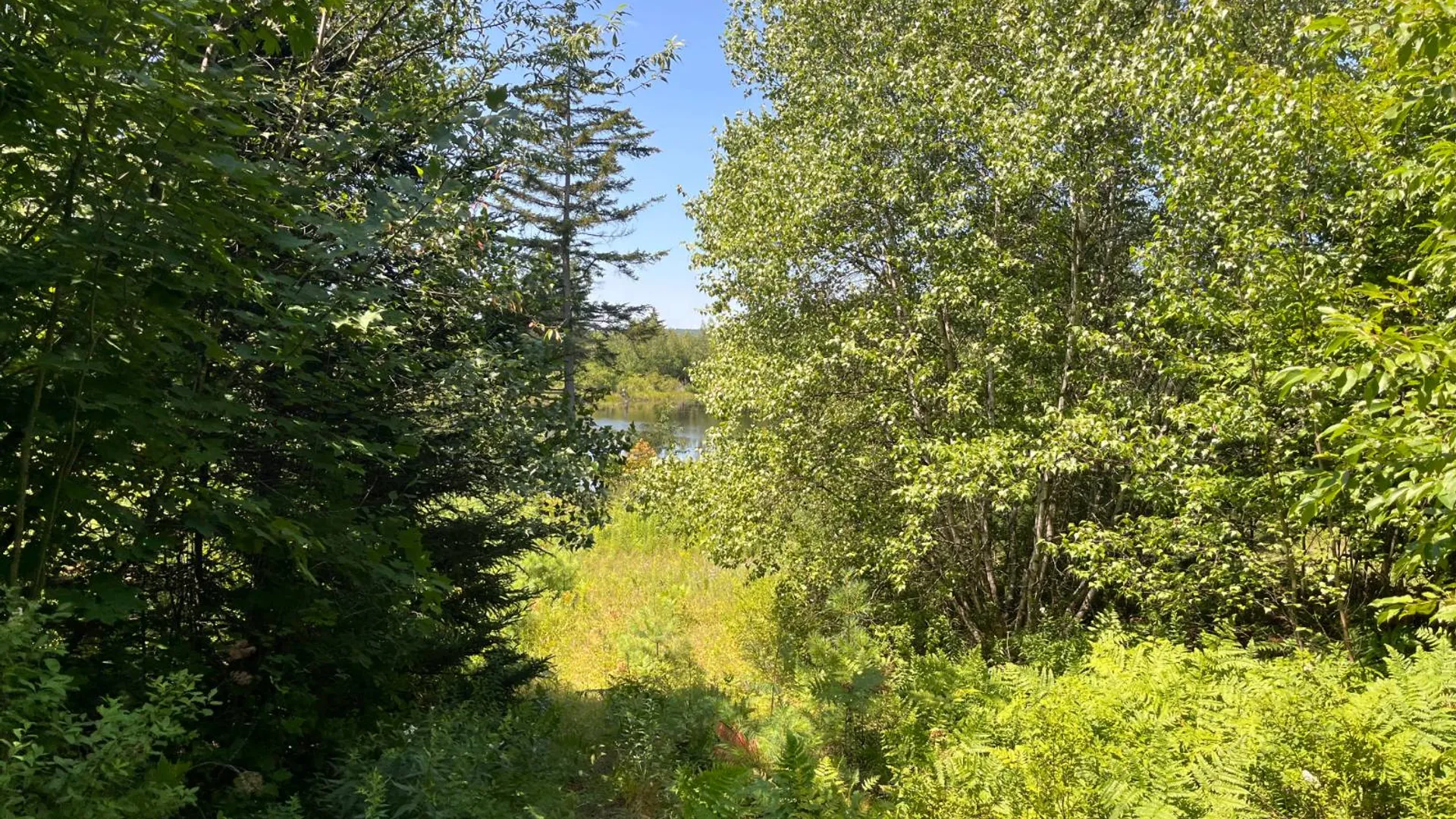 Property at 90 Santamont Roa Santamon Road, Hopkinton, NY 12980 46
