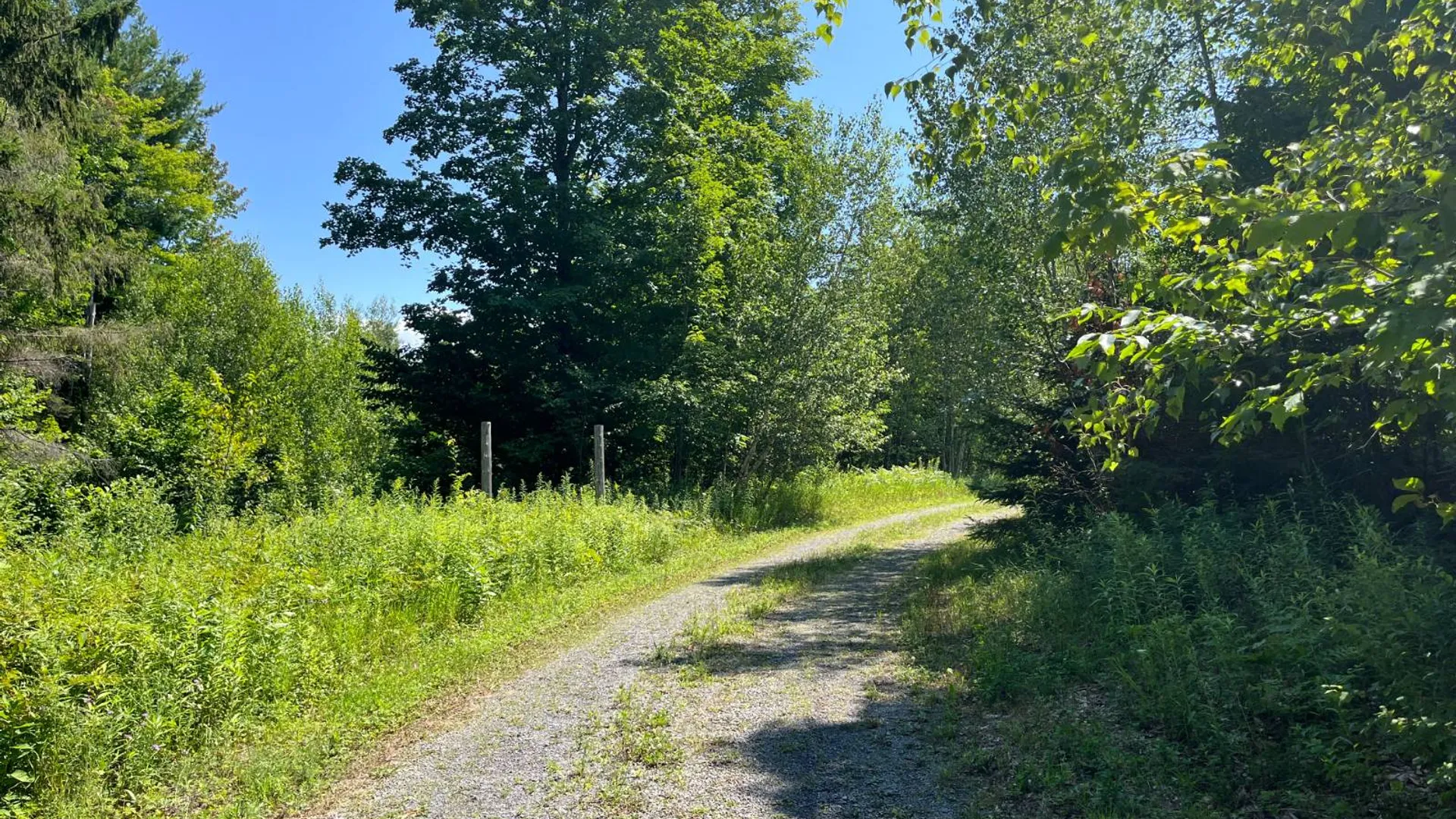 Property at 90 Santamont Roa Santamon Road, Hopkinton, NY 12980 51