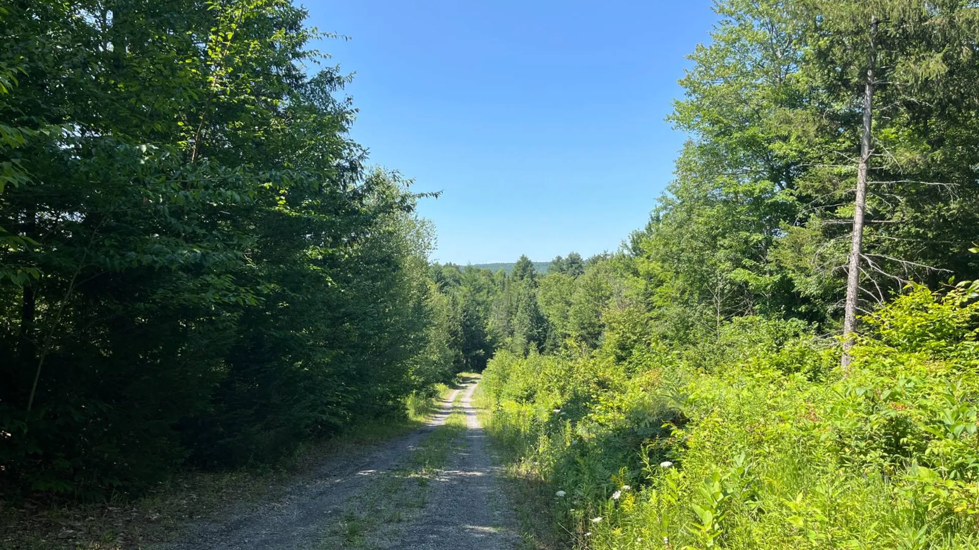 Property at 90 Santamont Roa Santamon Road, Hopkinton, NY 12980 52