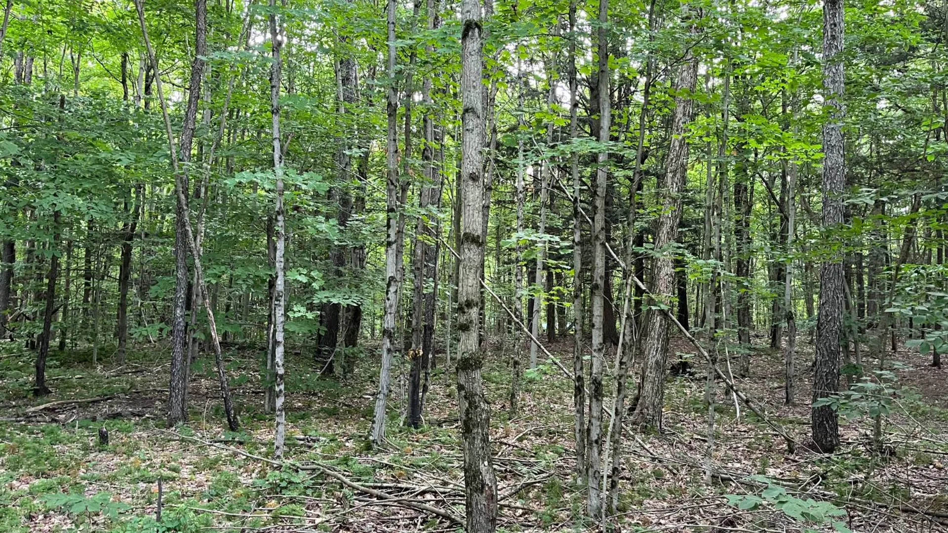 Property at 00 Streeter Rd, Pitcarin, NY 13648 6