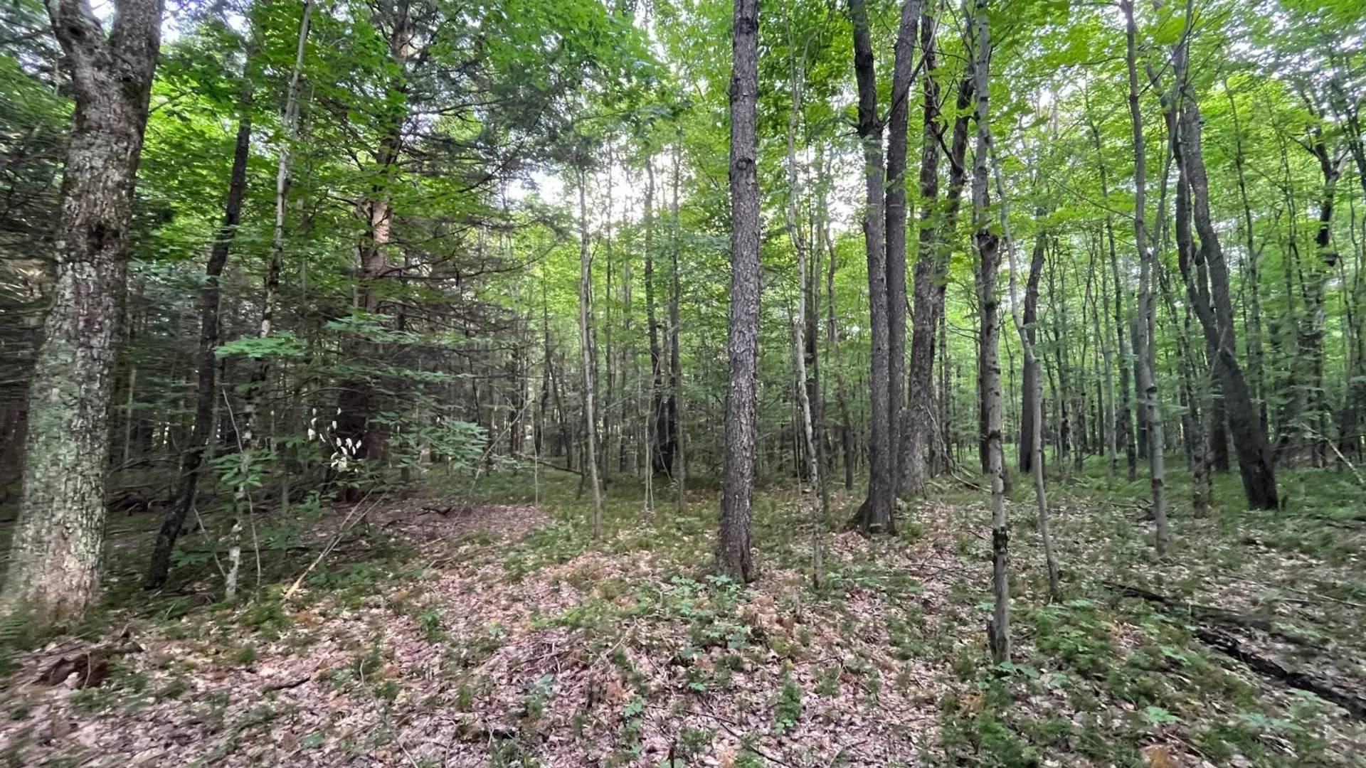 Property at 00 Streeter Rd, Pitcarin, NY 13648 7