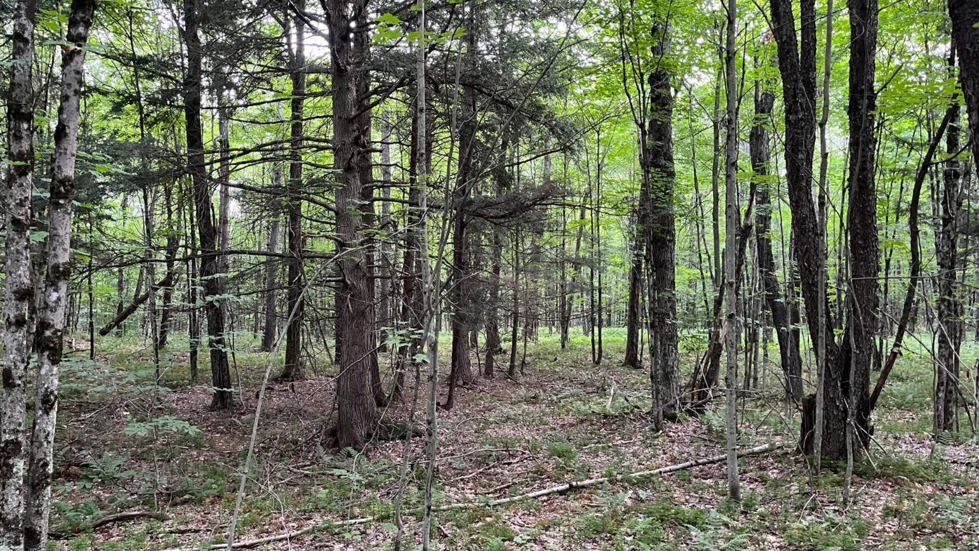 Property at 00 Streeter Rd, Pitcarin, NY 13648 9