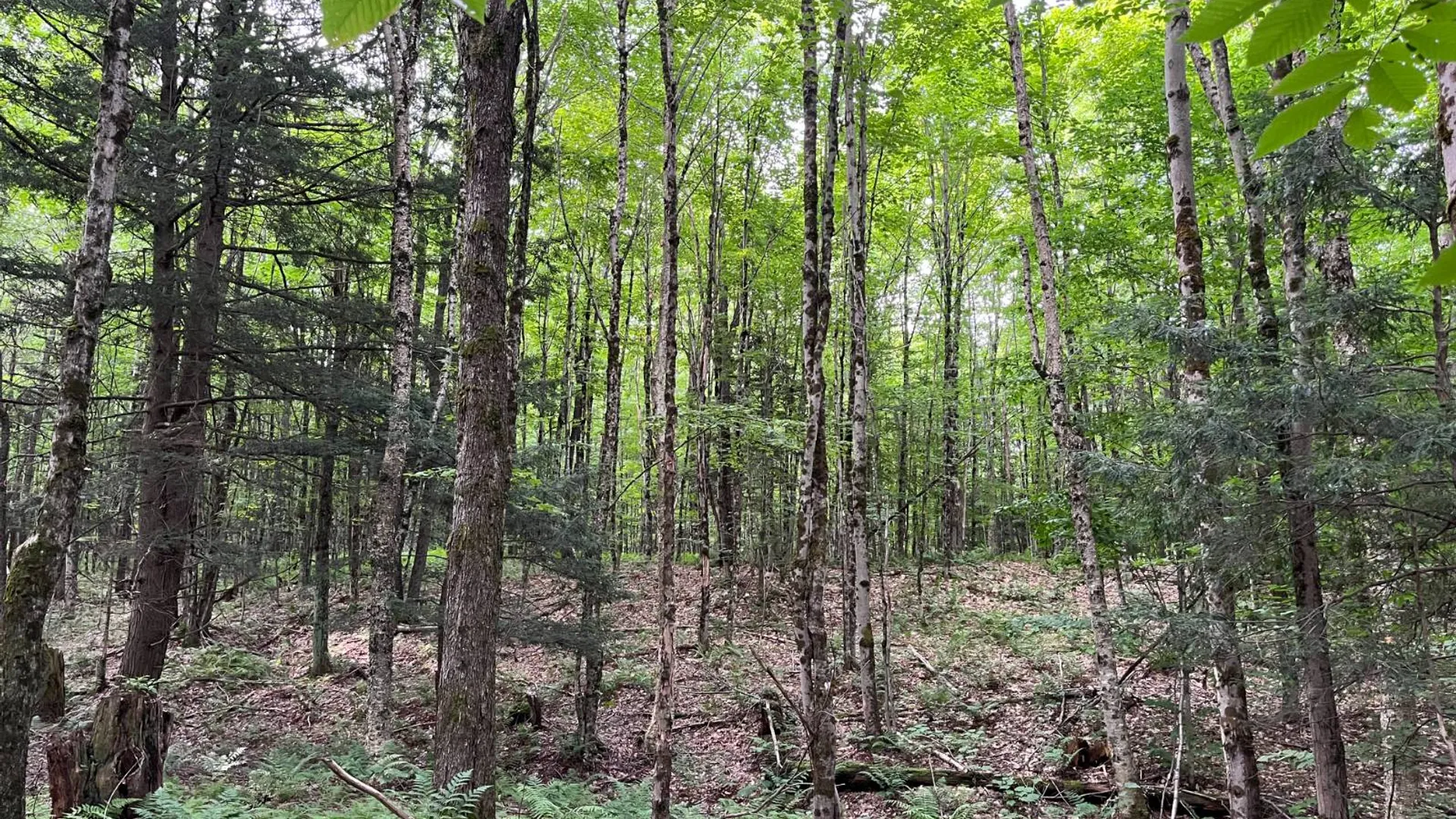 Property at 00 Streeter Rd, Pitcarin, NY 13648 14