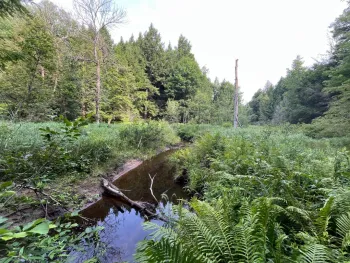 Property at 00 Streeter Rd, Pitcarin, NY 13648