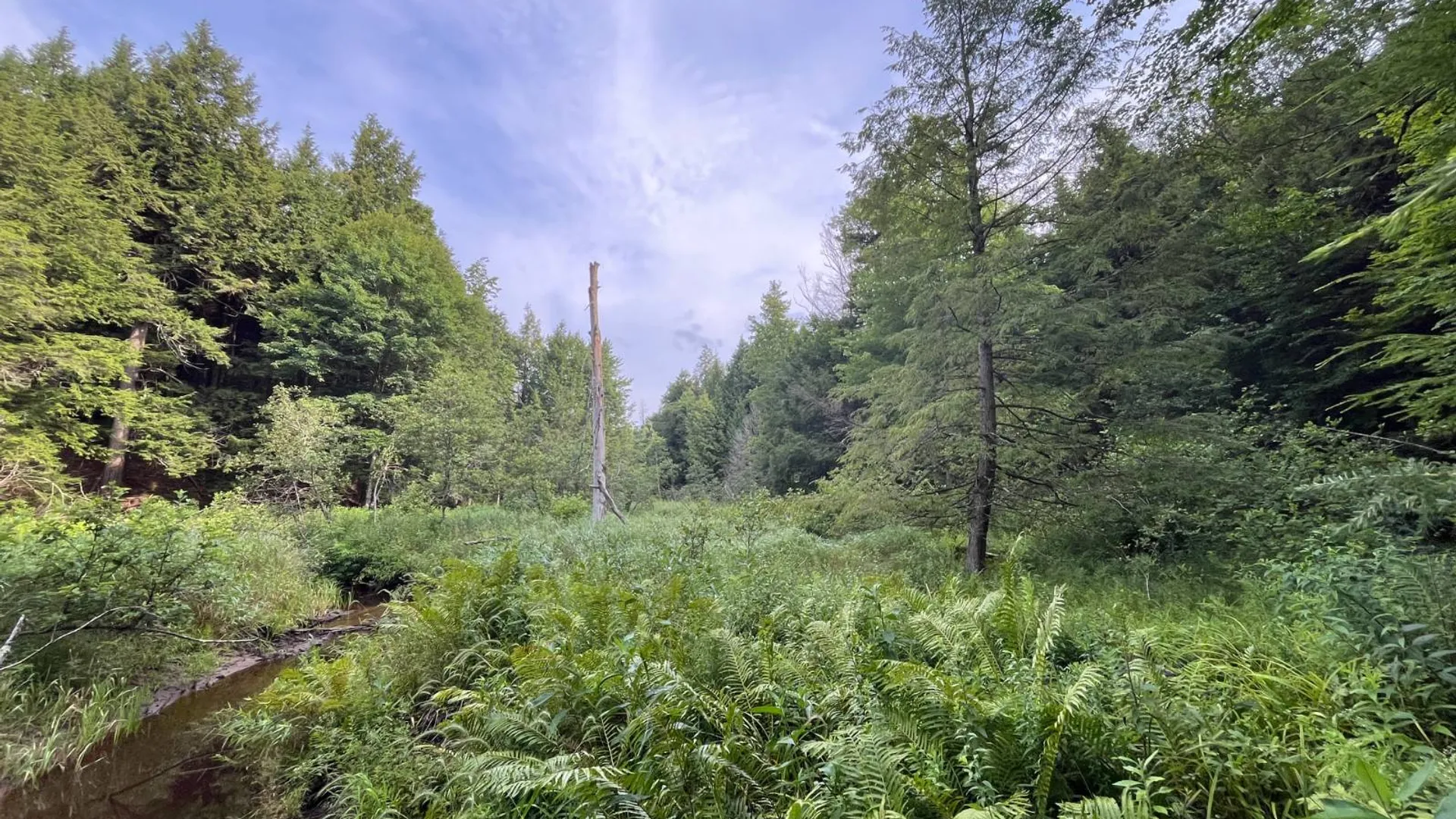 Property at 00 Streeter Rd, Pitcarin, NY 13648 3