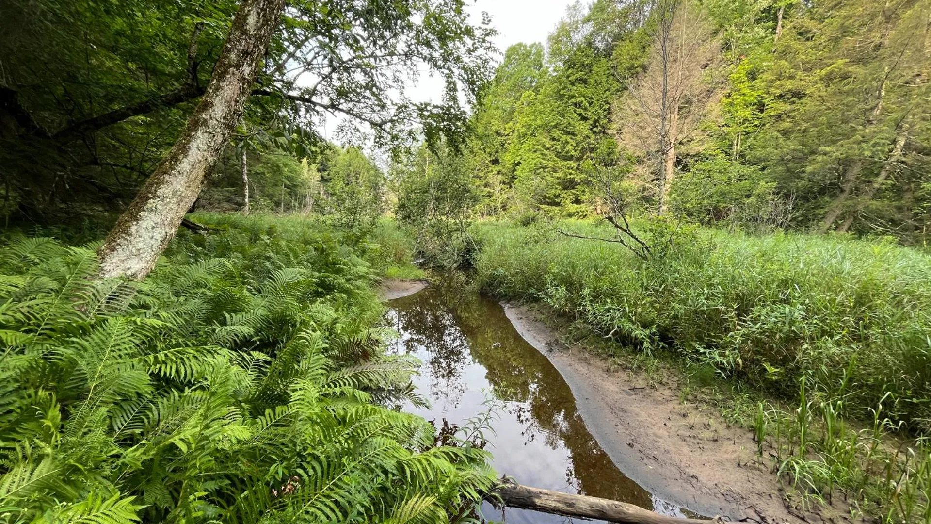 Property at 00 Streeter Rd, Pitcarin, NY 13648 16