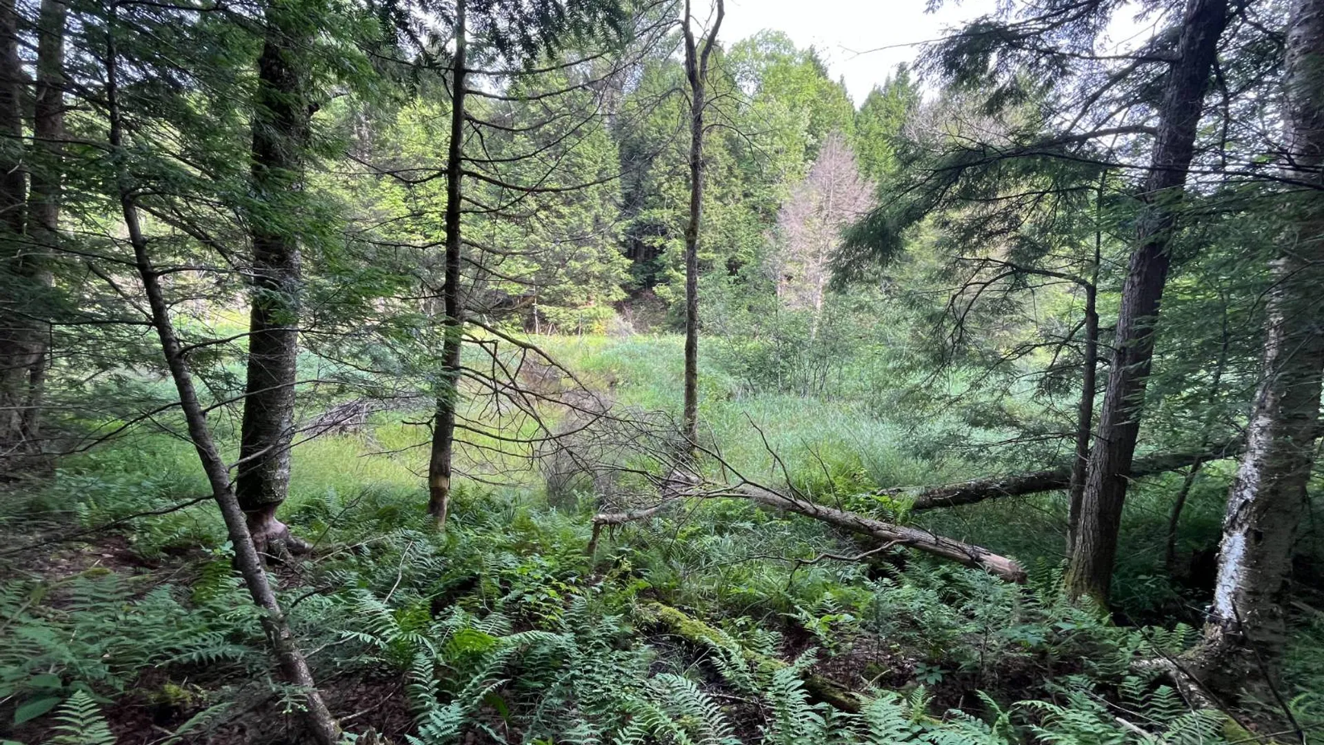 Property at 00 Streeter Rd, Pitcarin, NY 13648 17