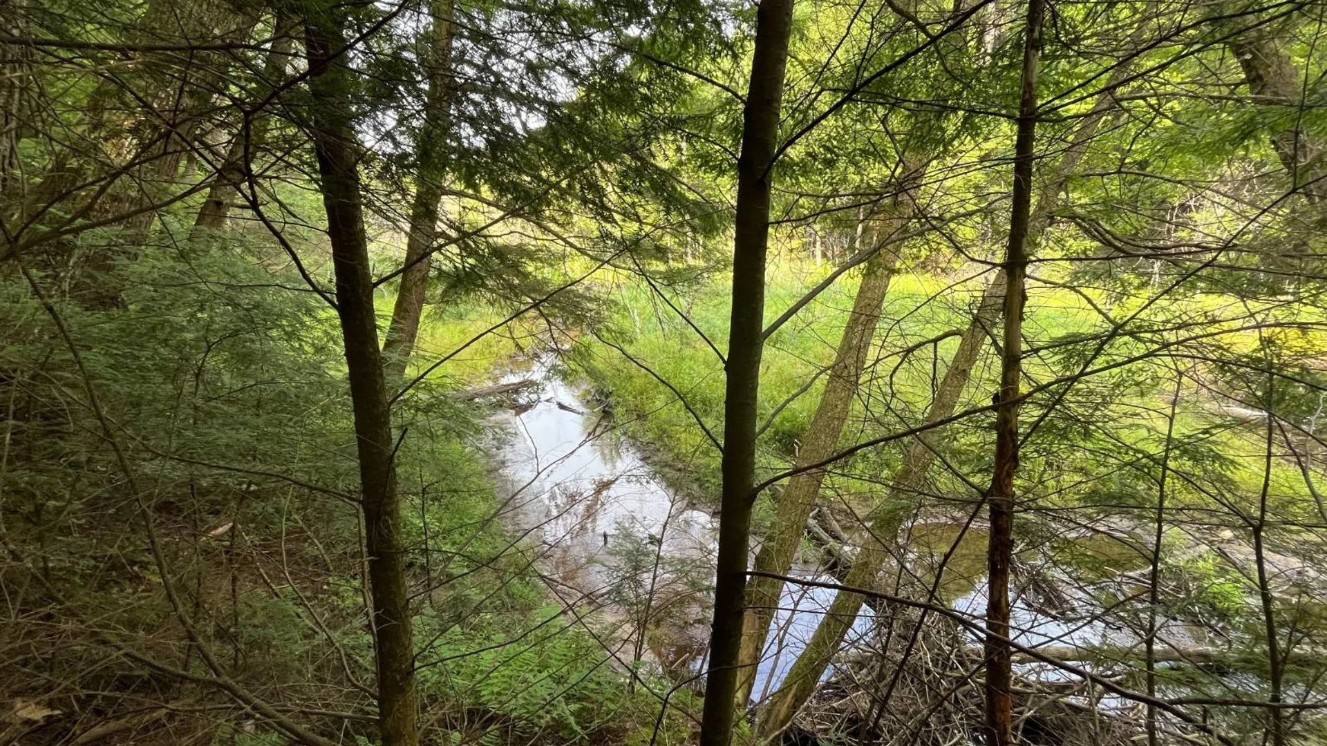 Property at 00 Streeter Rd, Pitcarin, NY 13648 18