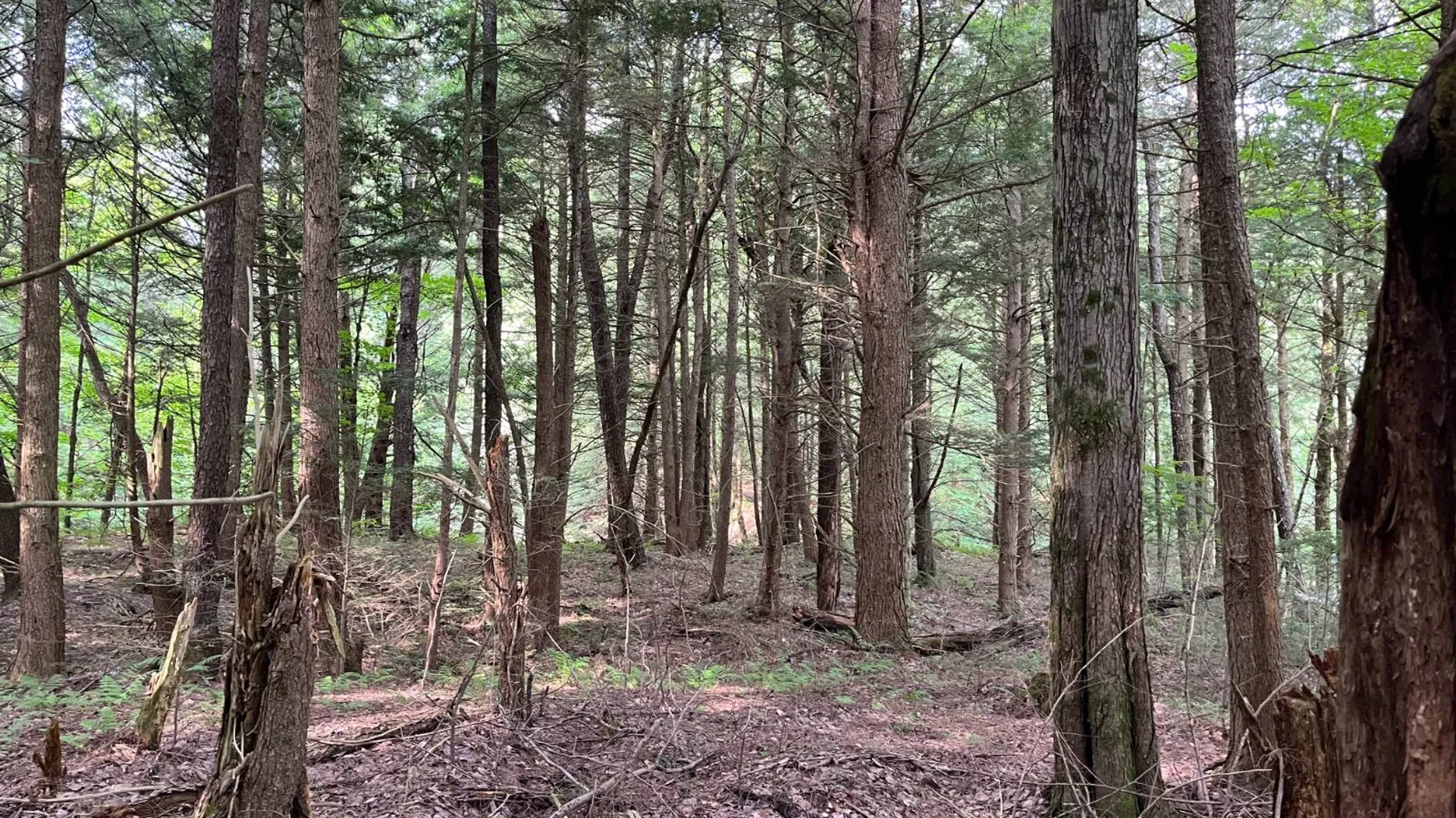 Property at 00 Streeter Rd, Pitcarin, NY 13648 22