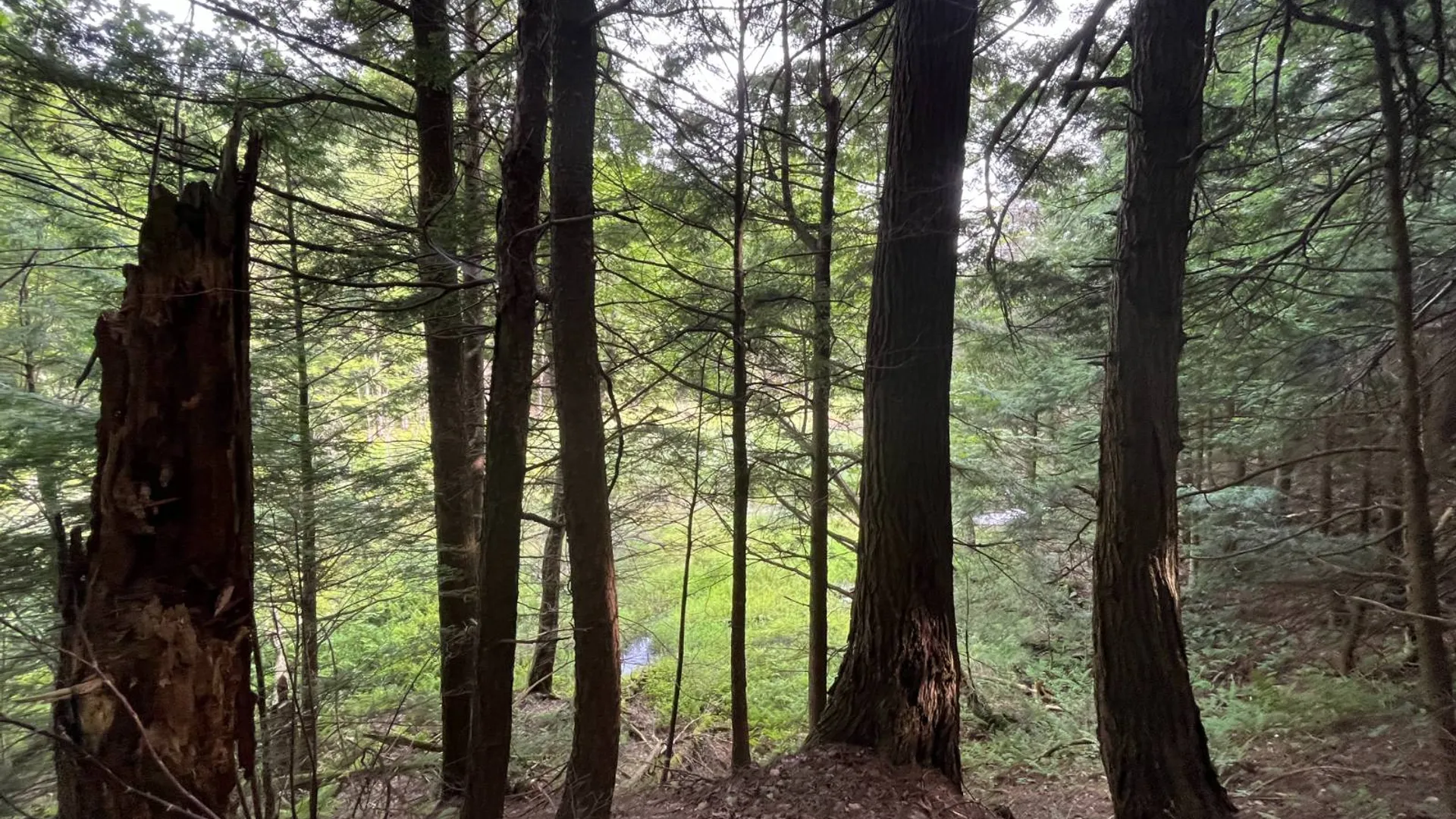 Property at 00 Streeter Rd, Pitcarin, NY 13648 23