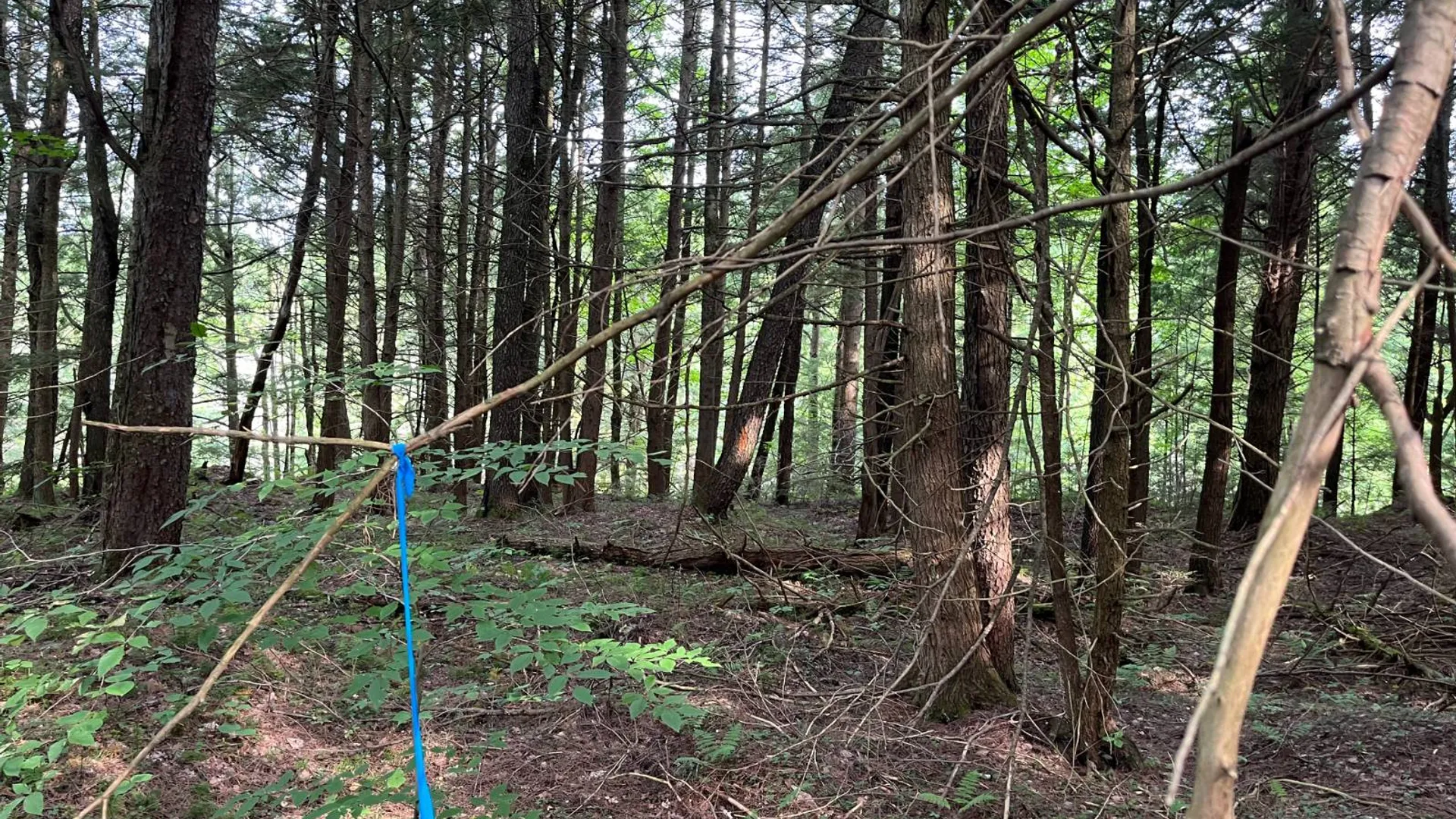 Property at 00 Streeter Rd, Pitcarin, NY 13648 25