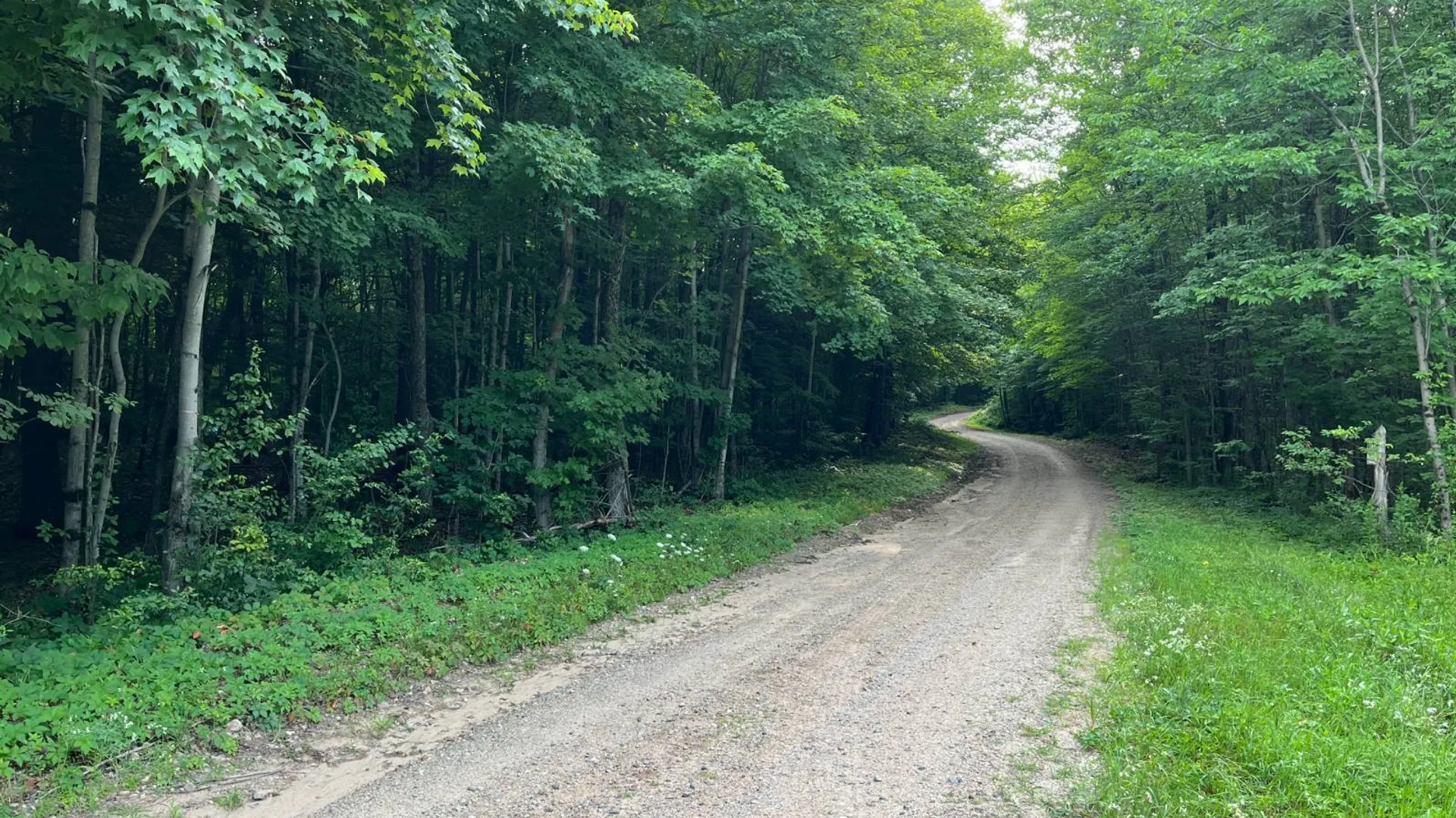 Property at 00 Streeter Rd, Pitcarin, NY 13648 26