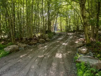 Property at 1060 Deer Run Rd., Hancock, NY 13783