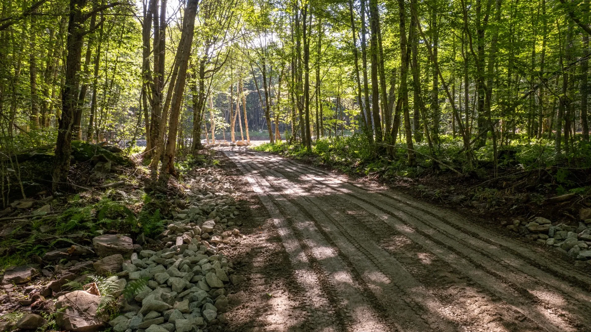 Property at 1060 Deer Run Rd., Hancock, NY 13783 3