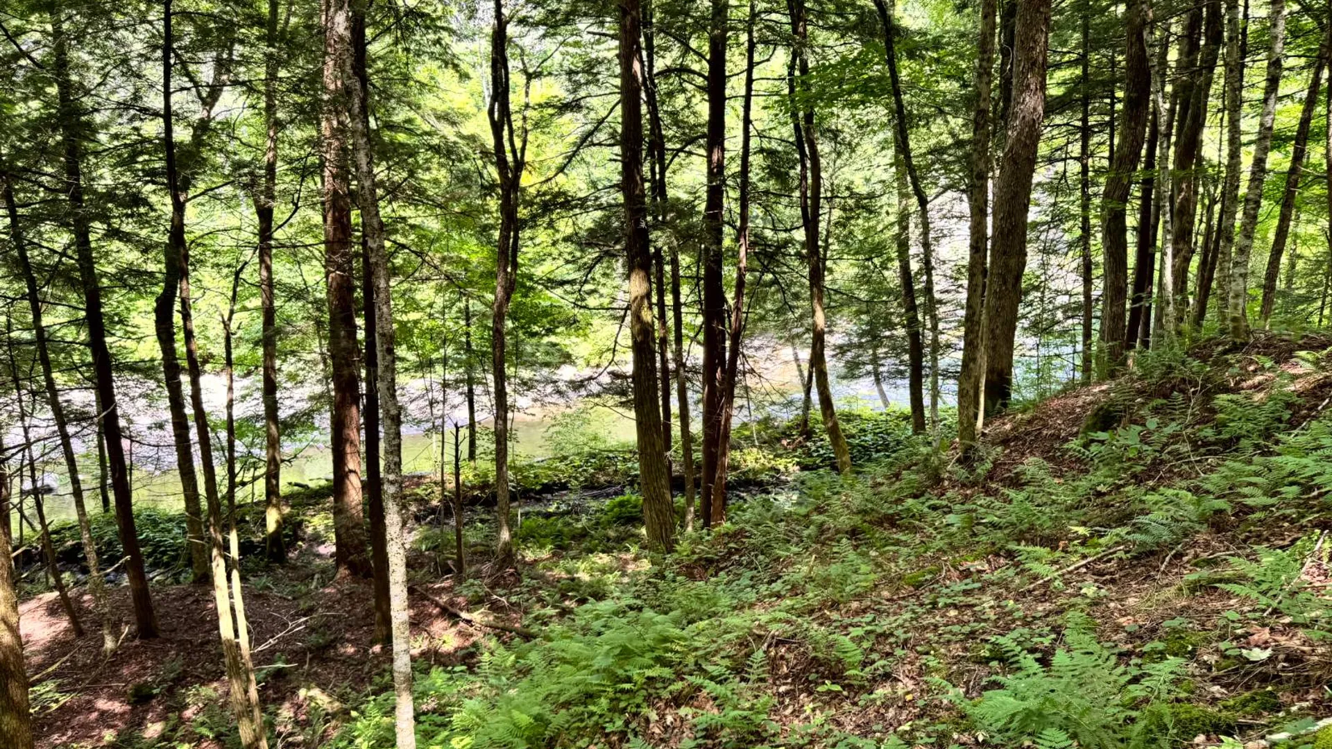 Property at 1.1 Tannery Rd, Western, NY 13486 4