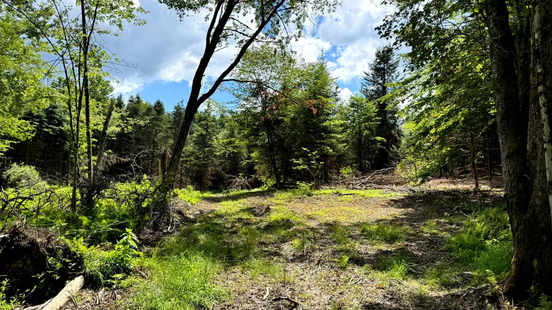 Property at 1.1 Tannery Rd, Western, NY 13486 9