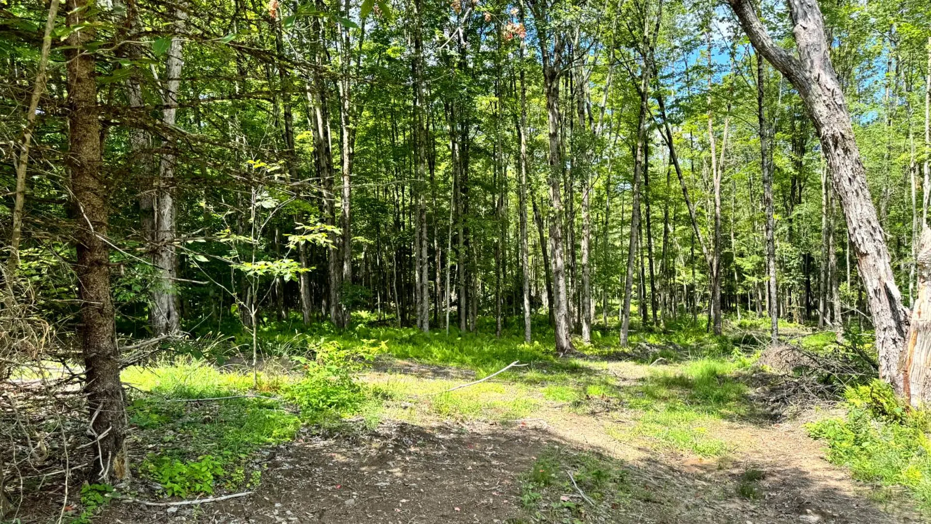 Property at 1.1 Tannery Rd, Western, NY 13486 10