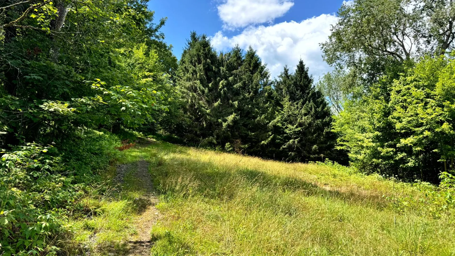 Property at 1.1 Tannery Rd, Western, NY 13486 11