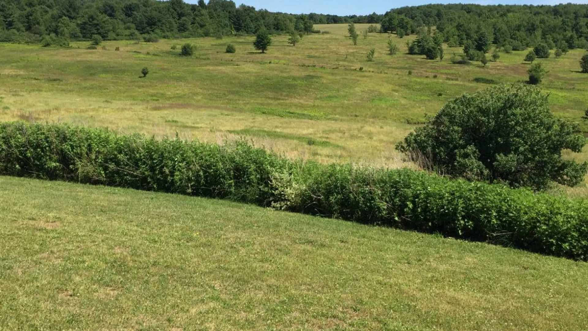 Property at 2614 Turnpike Rd, East Meredith, NY 13757 5