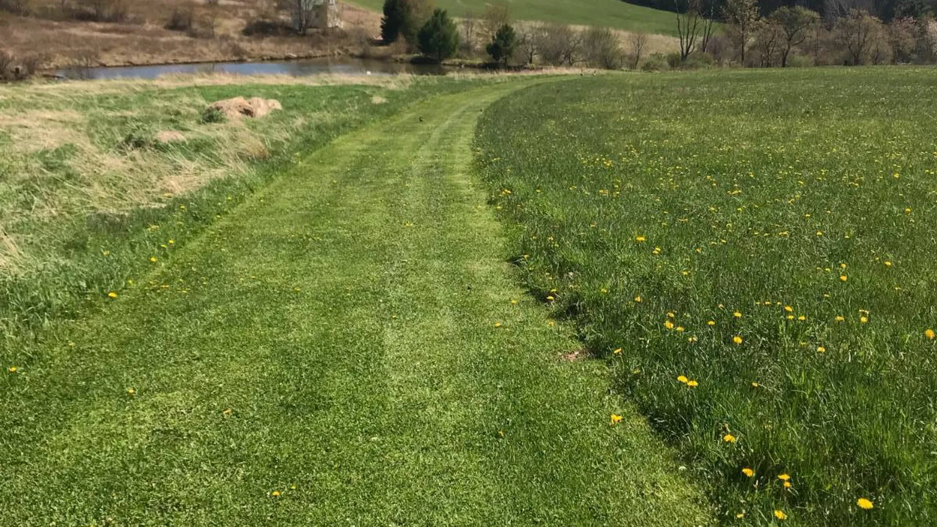 Property at 2614 Turnpike Rd, East Meredith, NY 13757 7