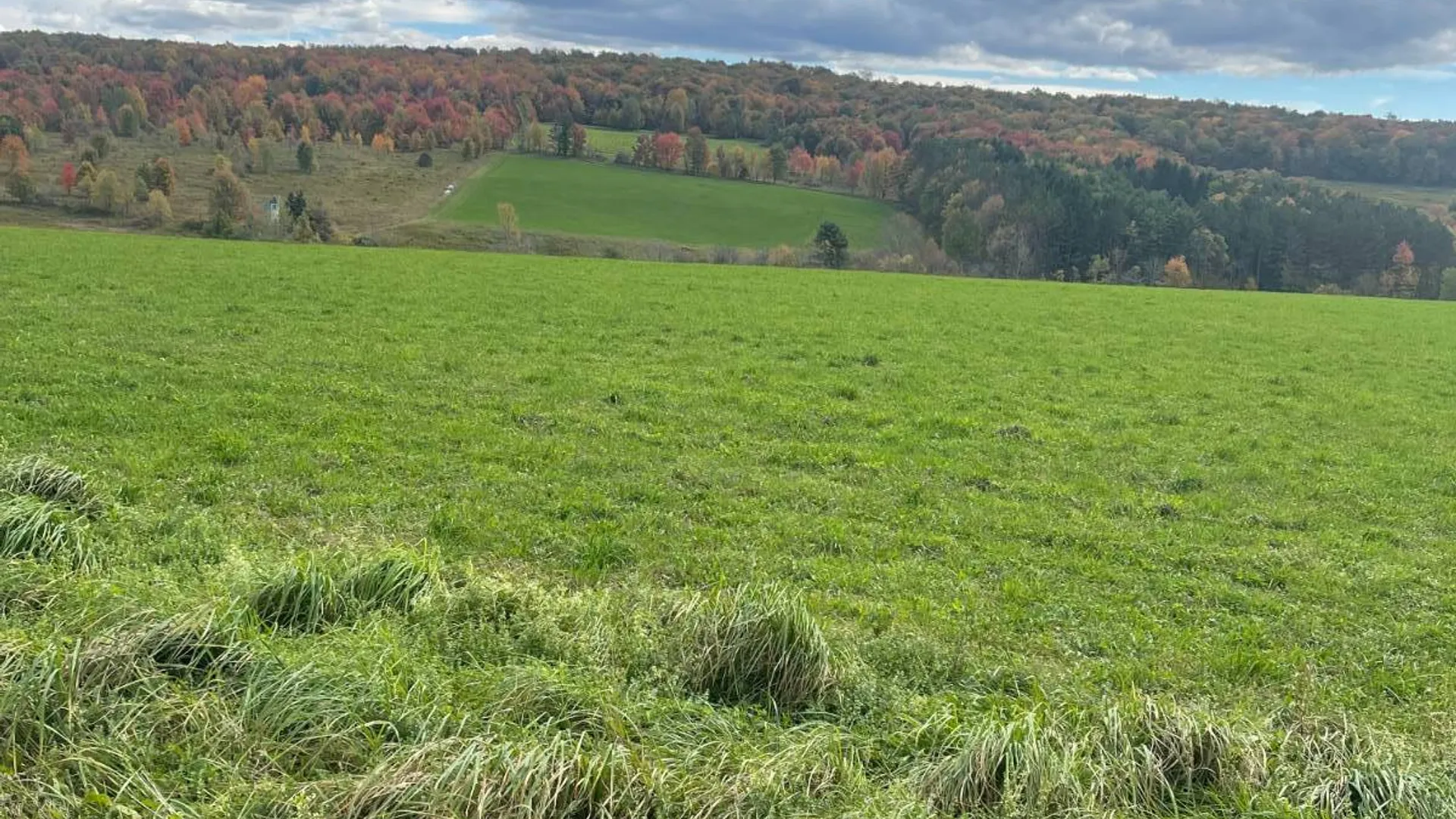 Property at 2614 Turnpike Rd, East Meredith, NY 13757 15