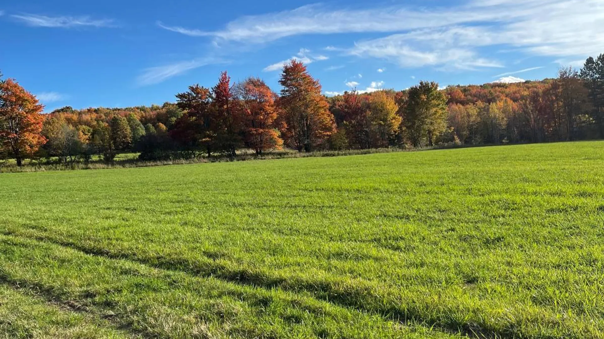 Property at 2614 Turnpike Rd, East Meredith, NY 13757 21