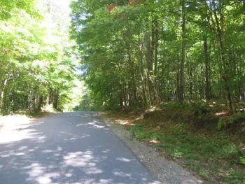 Property at 0 Garrison Rd, Pitcairn, NY 13648
