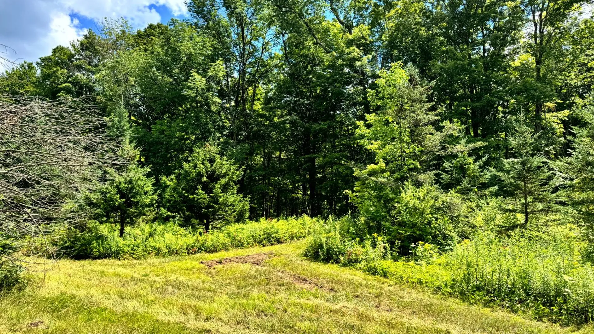 Property at 1.2 Tannery Rd, Western, NY 13486 3