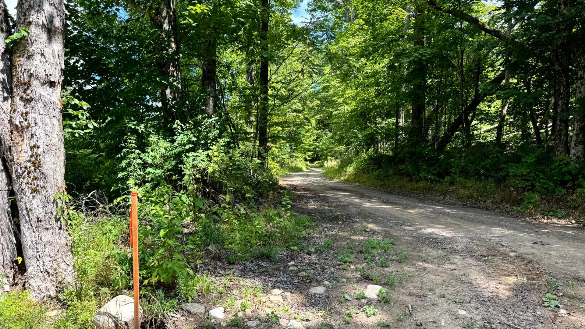 Property at 1.2 Tannery Rd, Western, NY 13486 4