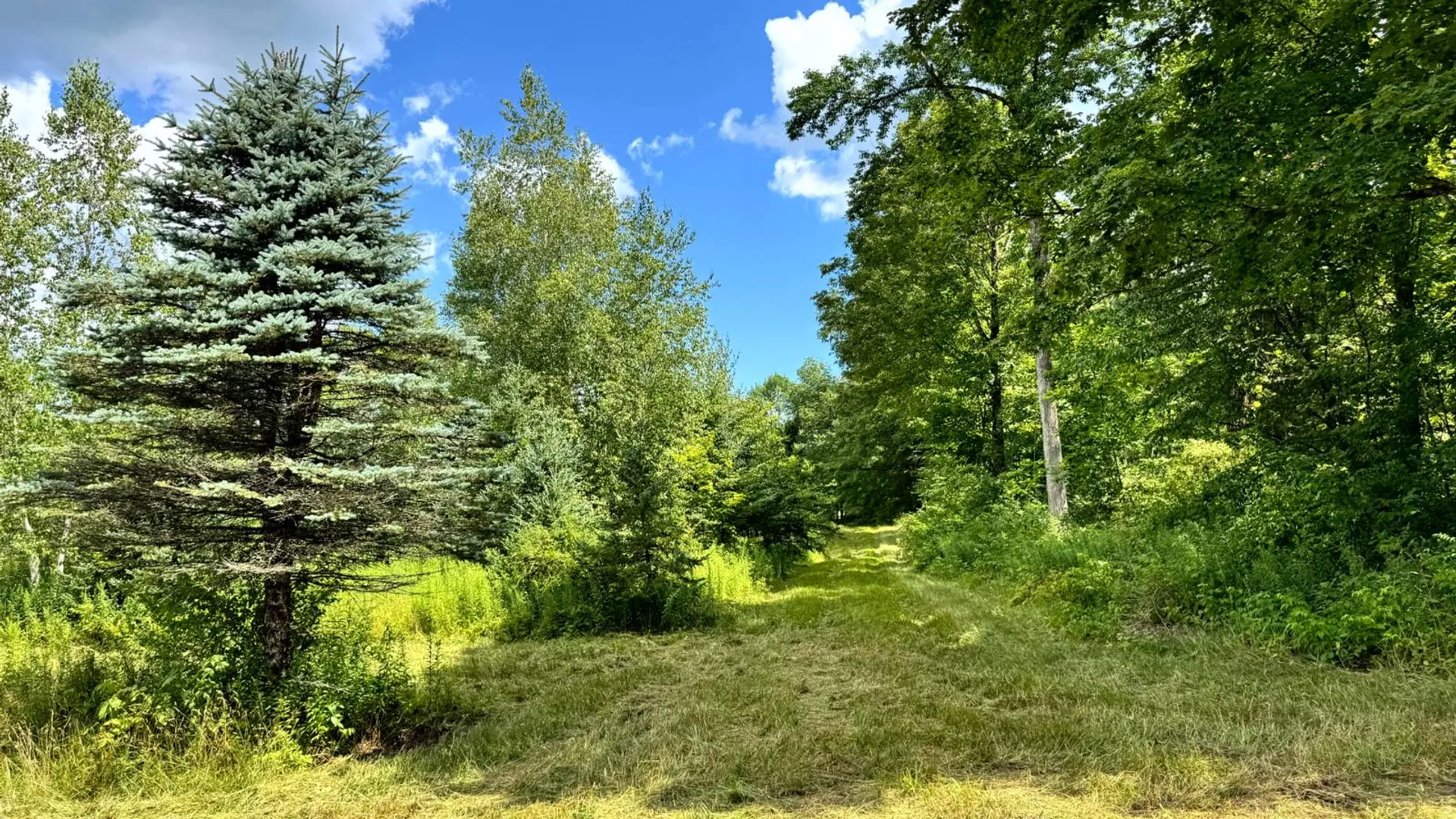 Property at 1.2 Tannery Rd, Western, NY 13486 5