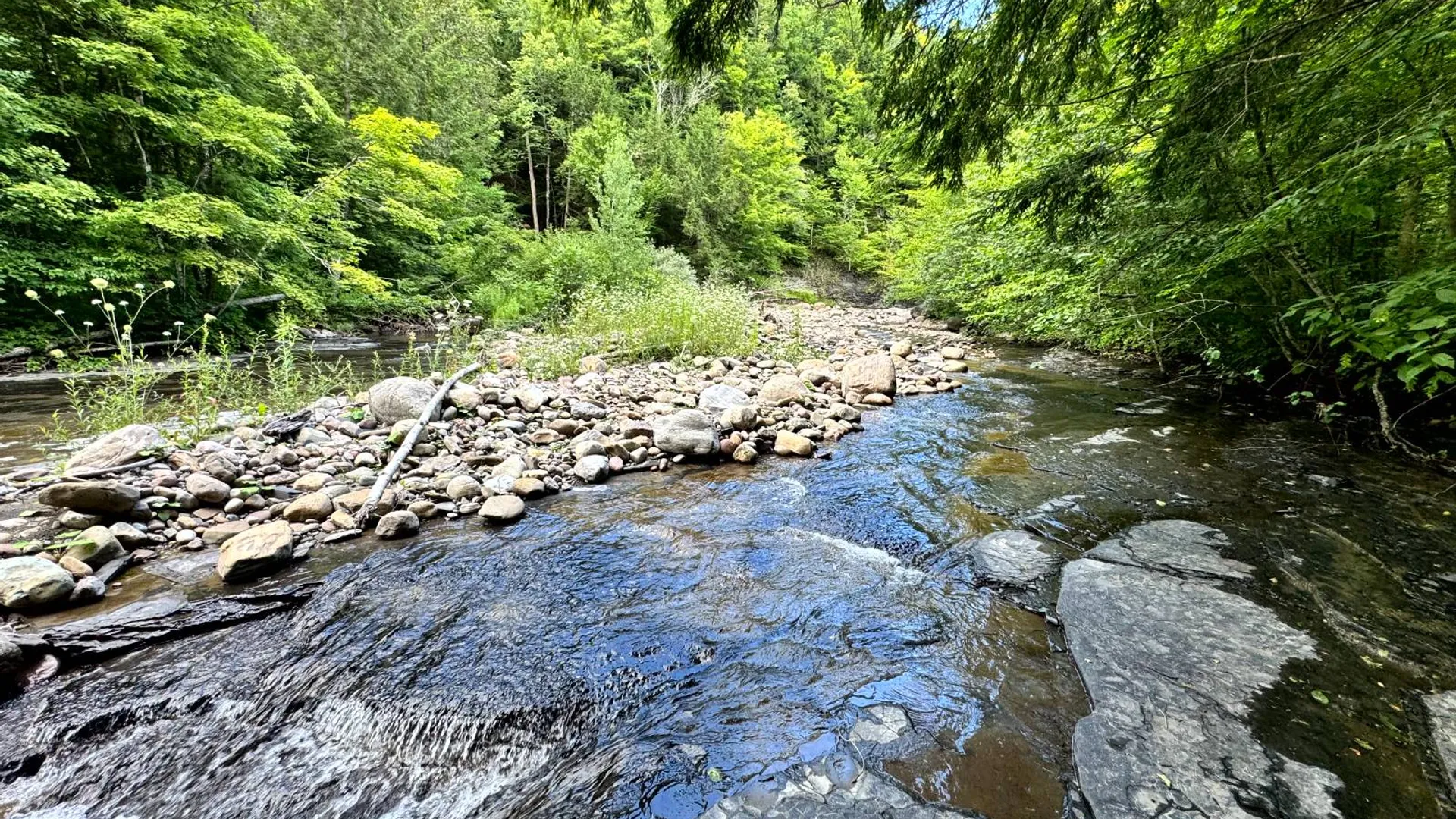 Property at 1.2 Tannery Rd, Western, NY 13486 7