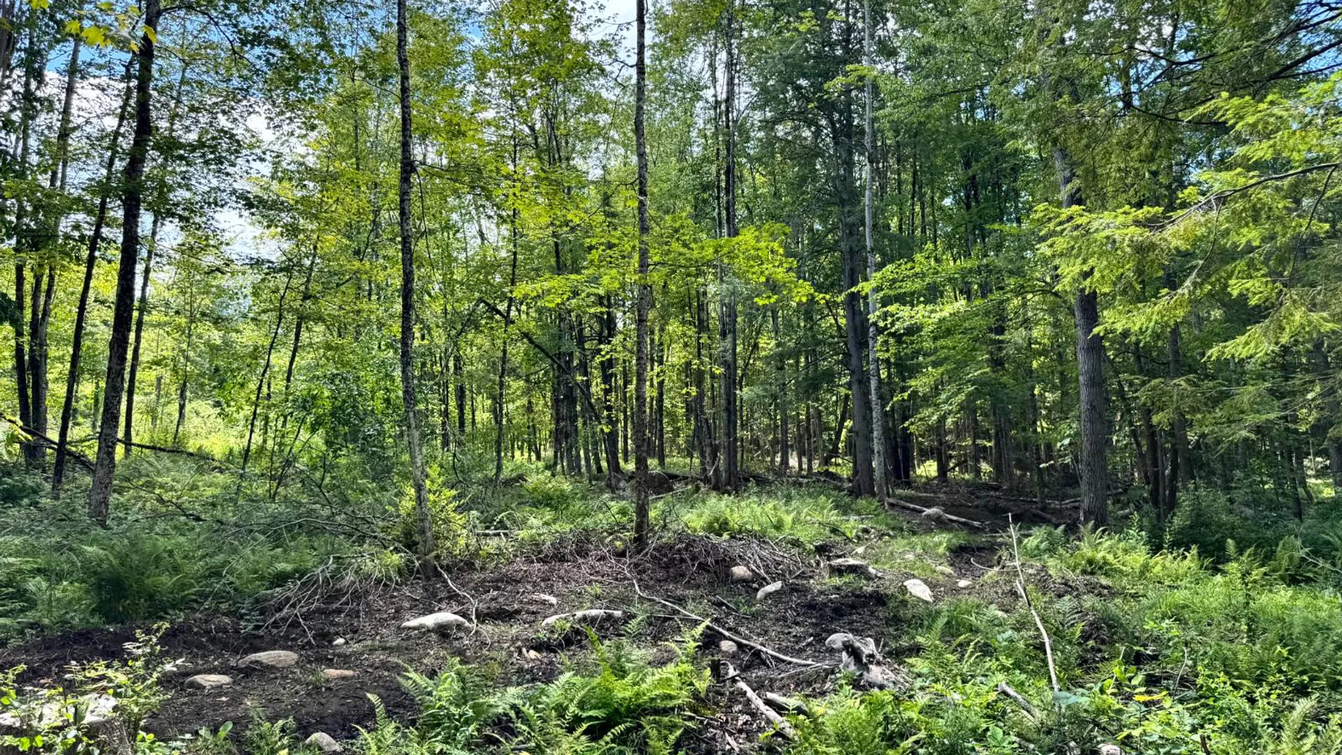 Property at 1.2 Tannery Rd, Western, NY 13486 8
