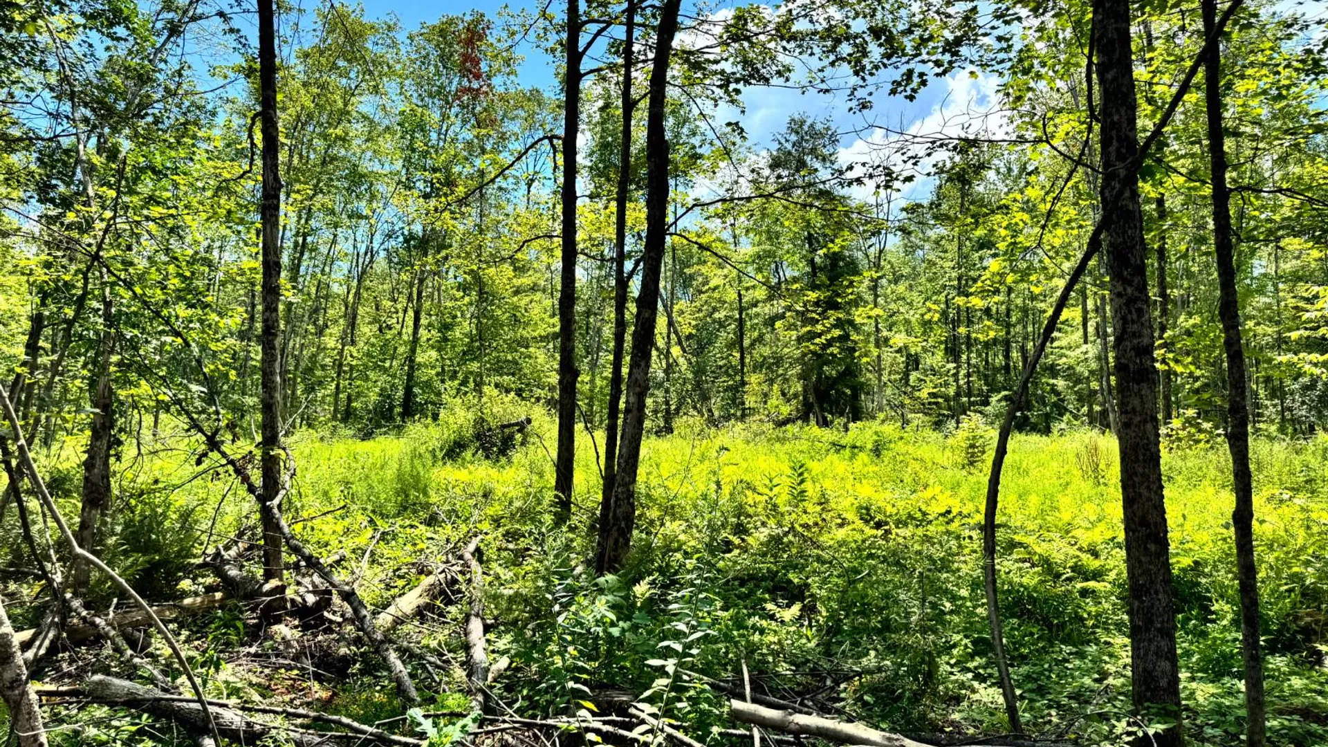 Property at 1.2 Tannery Rd, Western, NY 13486 11