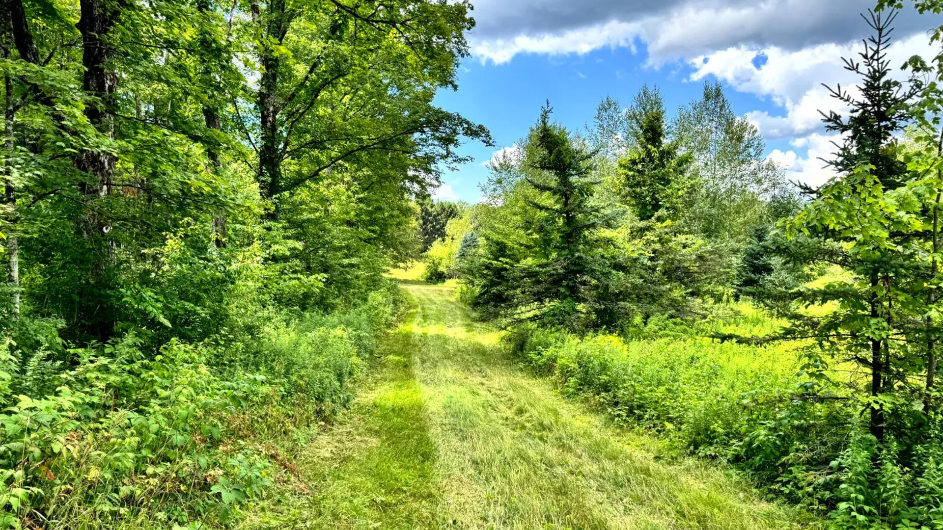 Property at 1.2 Tannery Rd, Western, NY 13486 13
