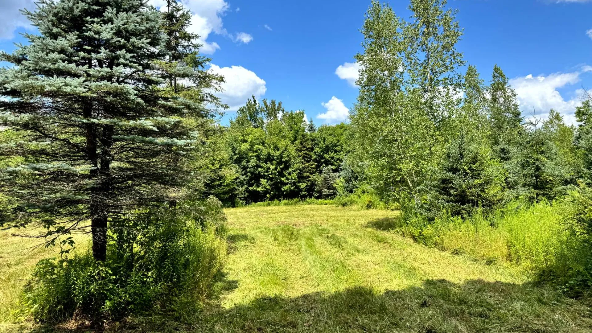 Property at 1.2 Tannery Rd, Western, NY 13486 15